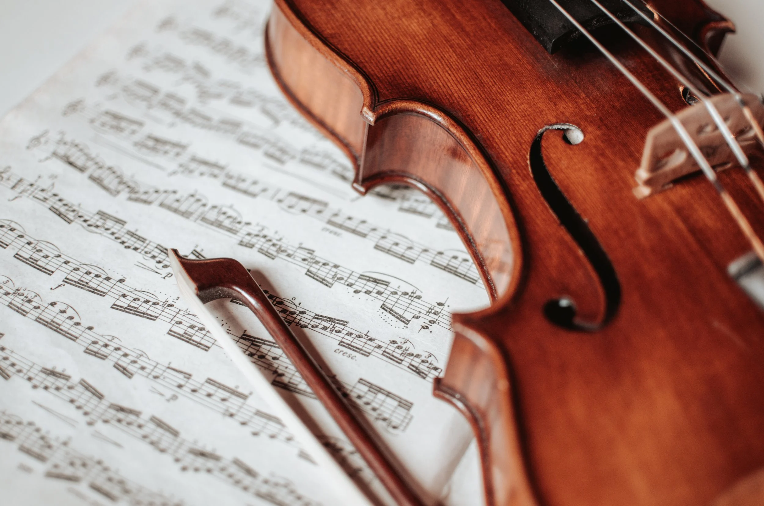 Course — Violin Lessons For Beginners