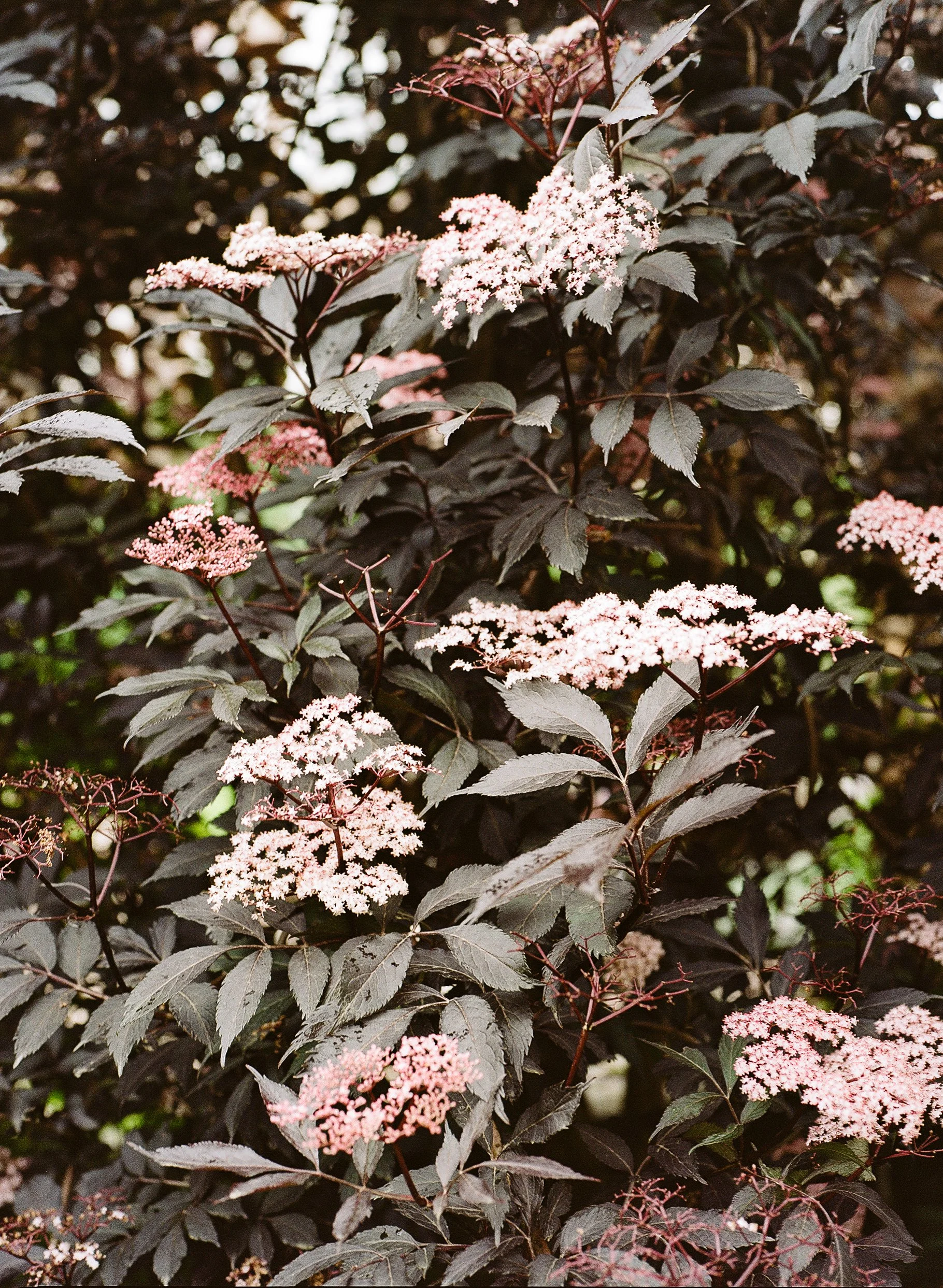 image-7.jpg