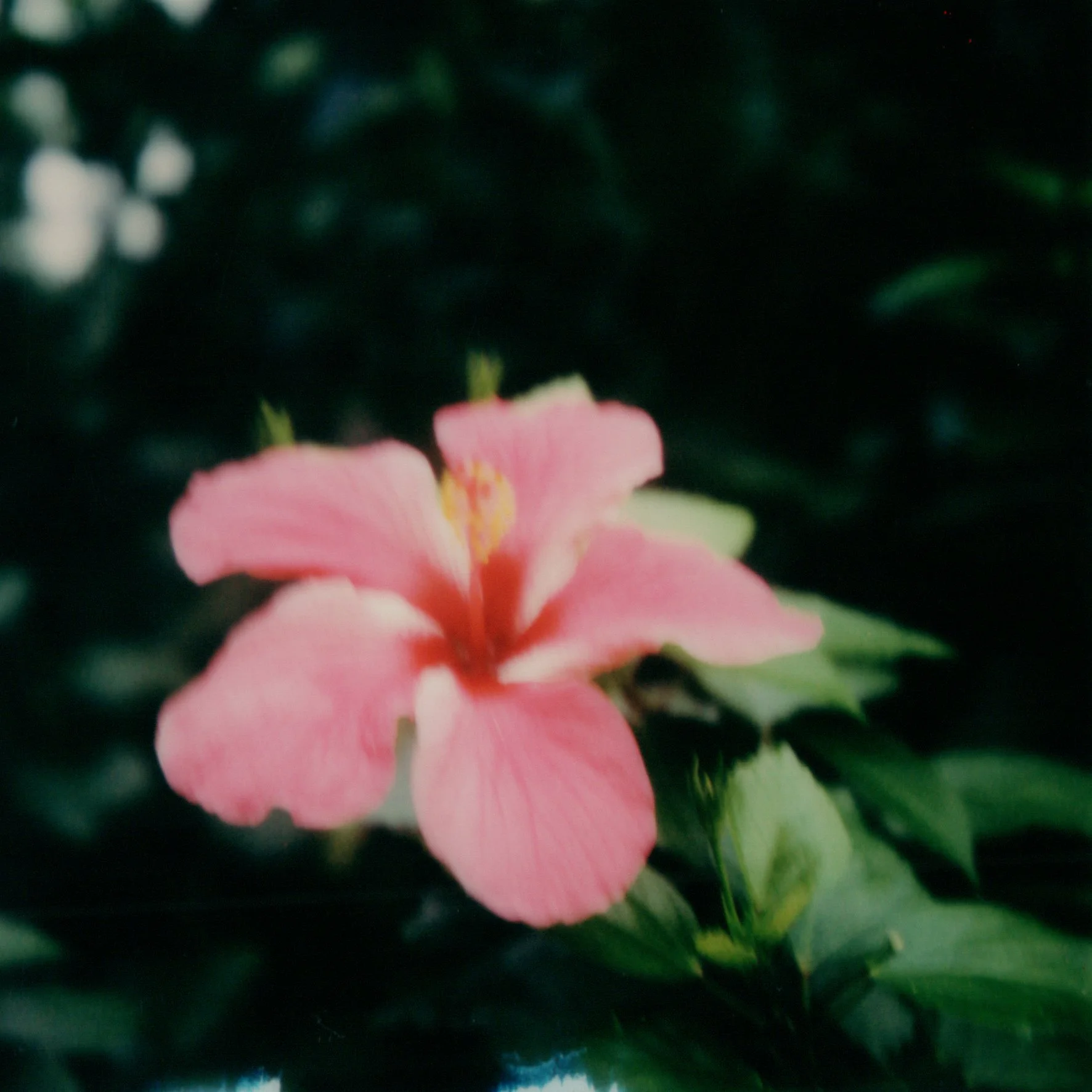 img20211018_11290136.jpg