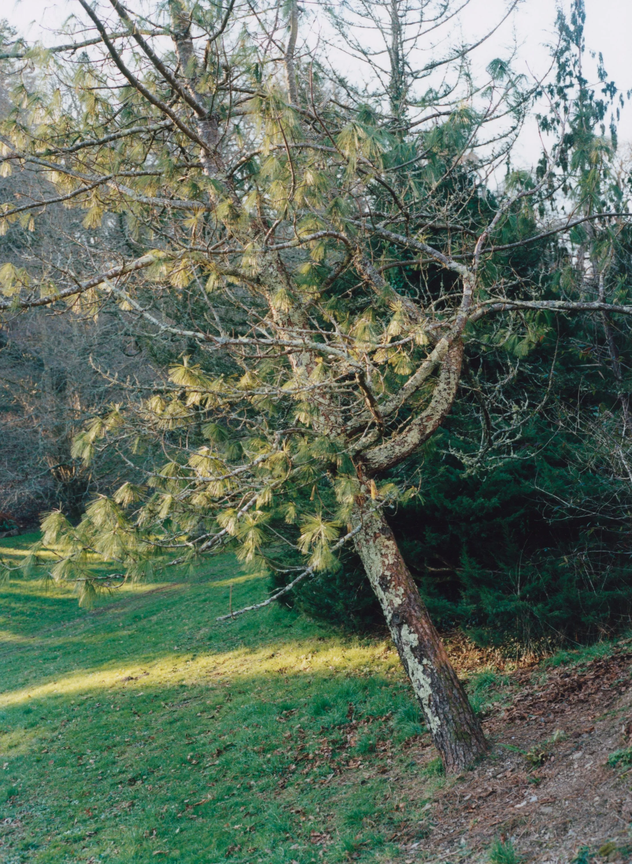 image-4.jpg