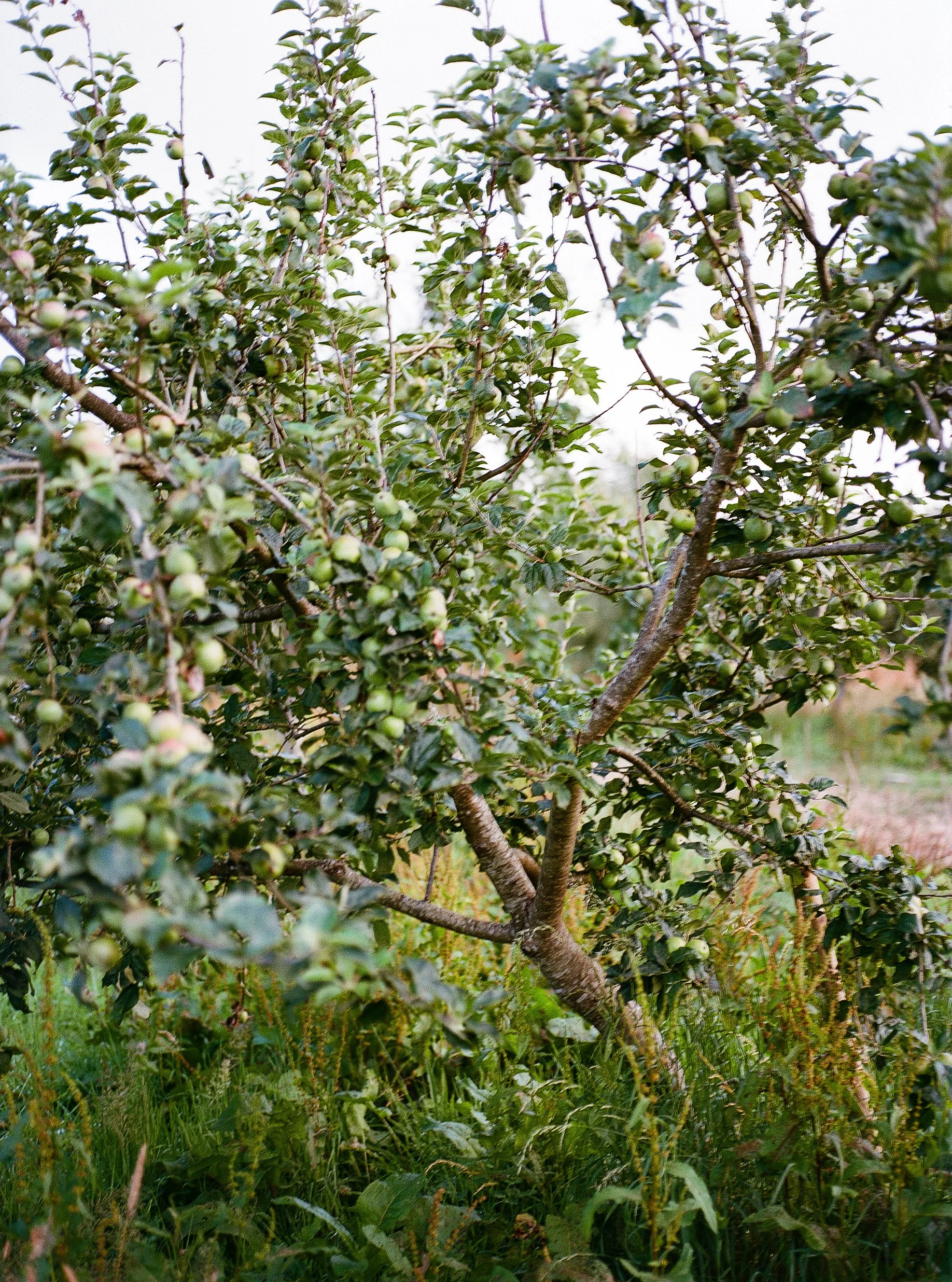 image-11.jpg