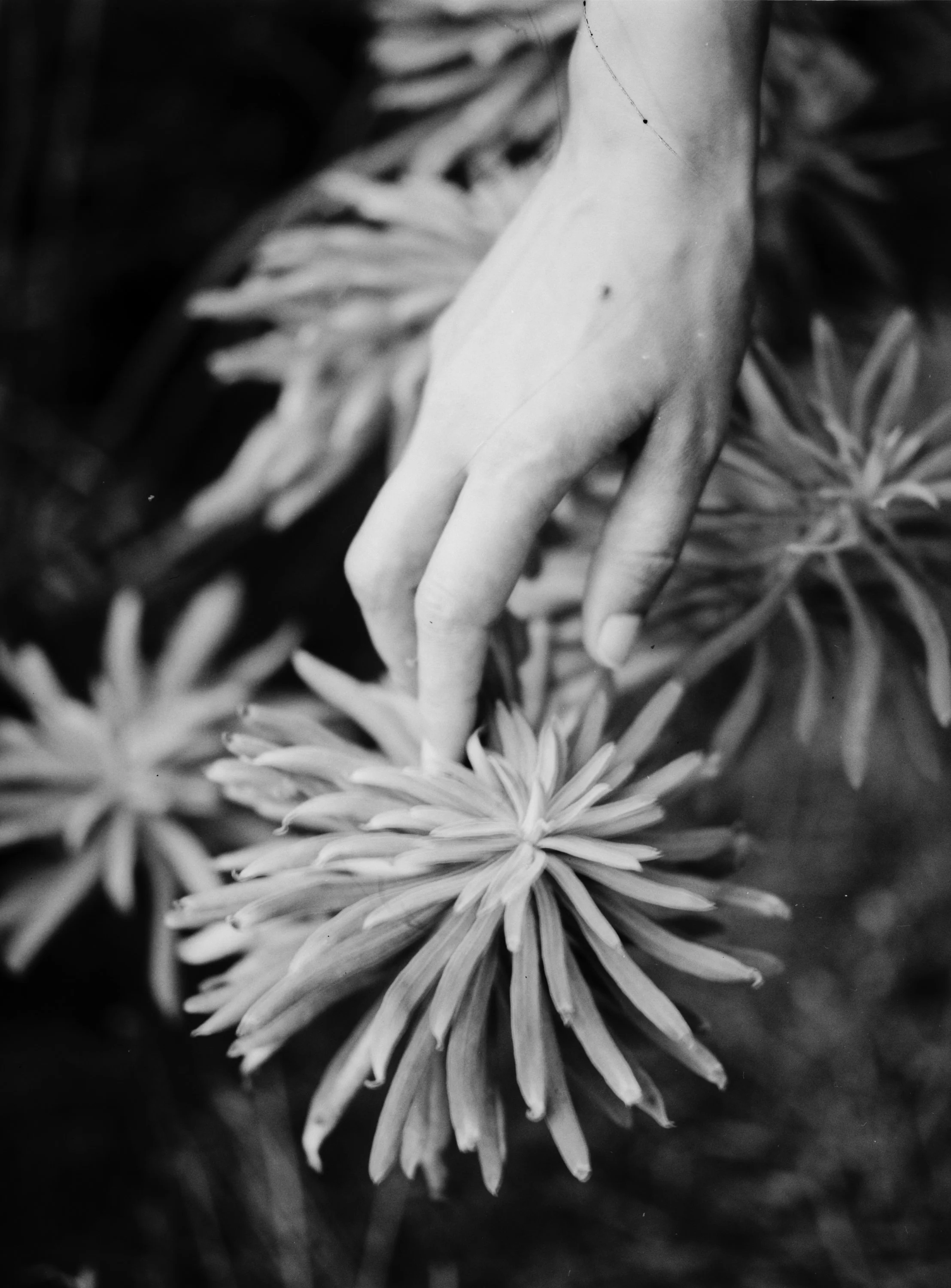 image-17.jpg