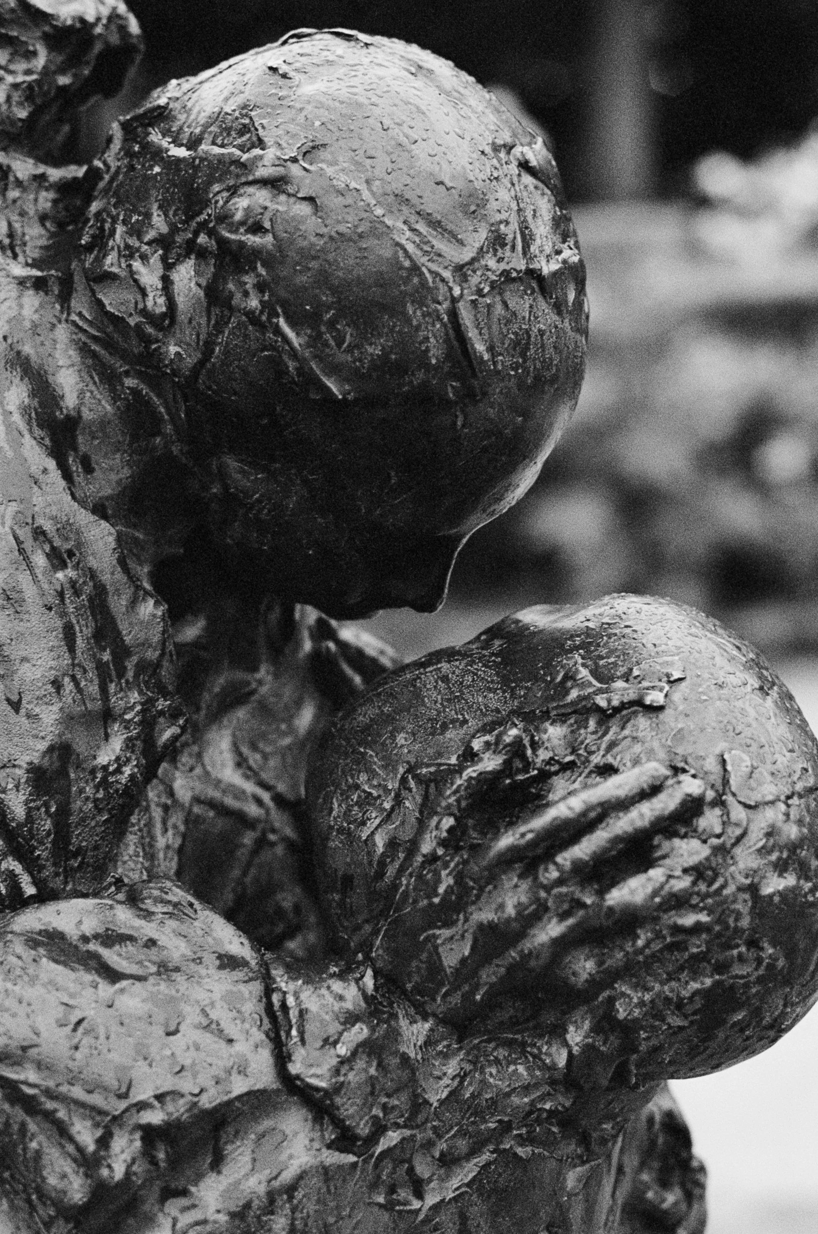 image-91.jpg