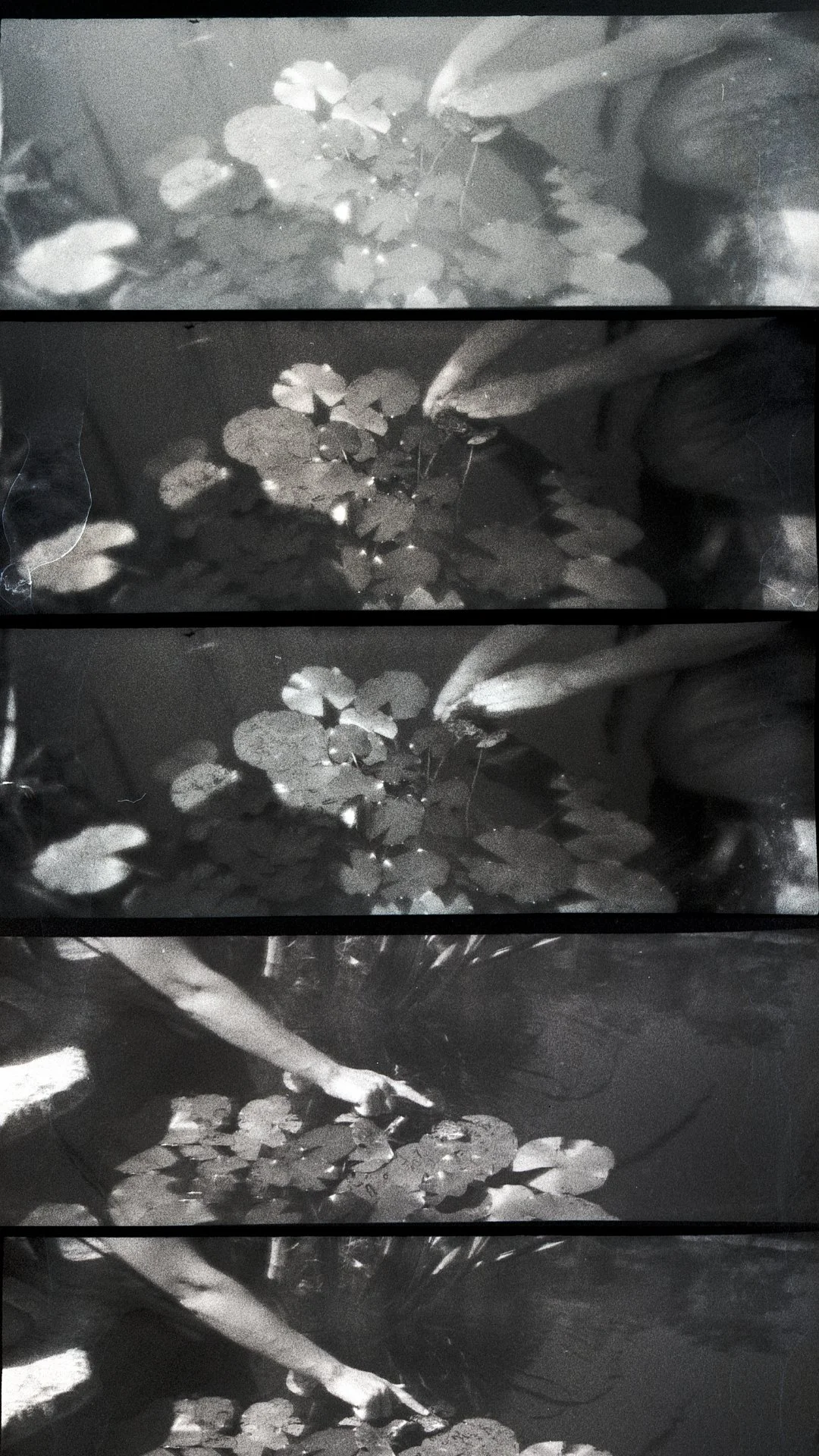 Lomokino-Vendee.jpg