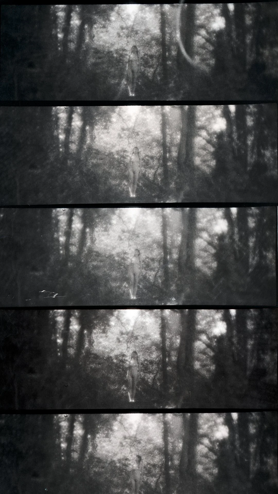 Lomokino-3.jpg
