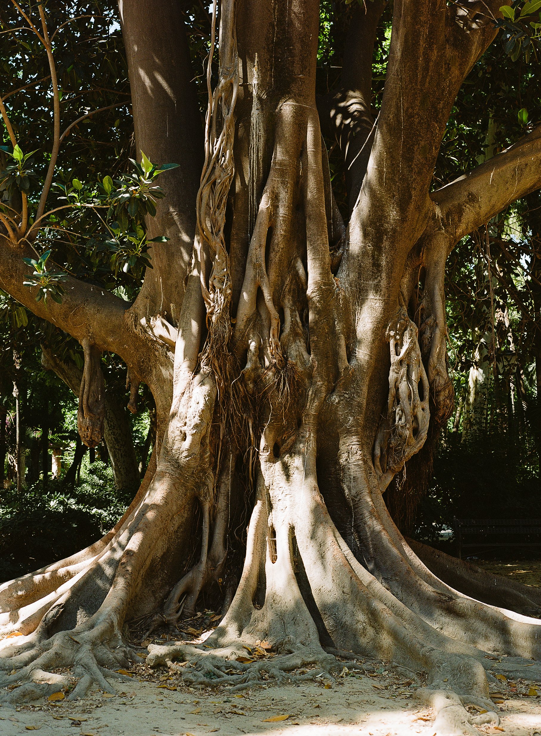 image-6.jpg