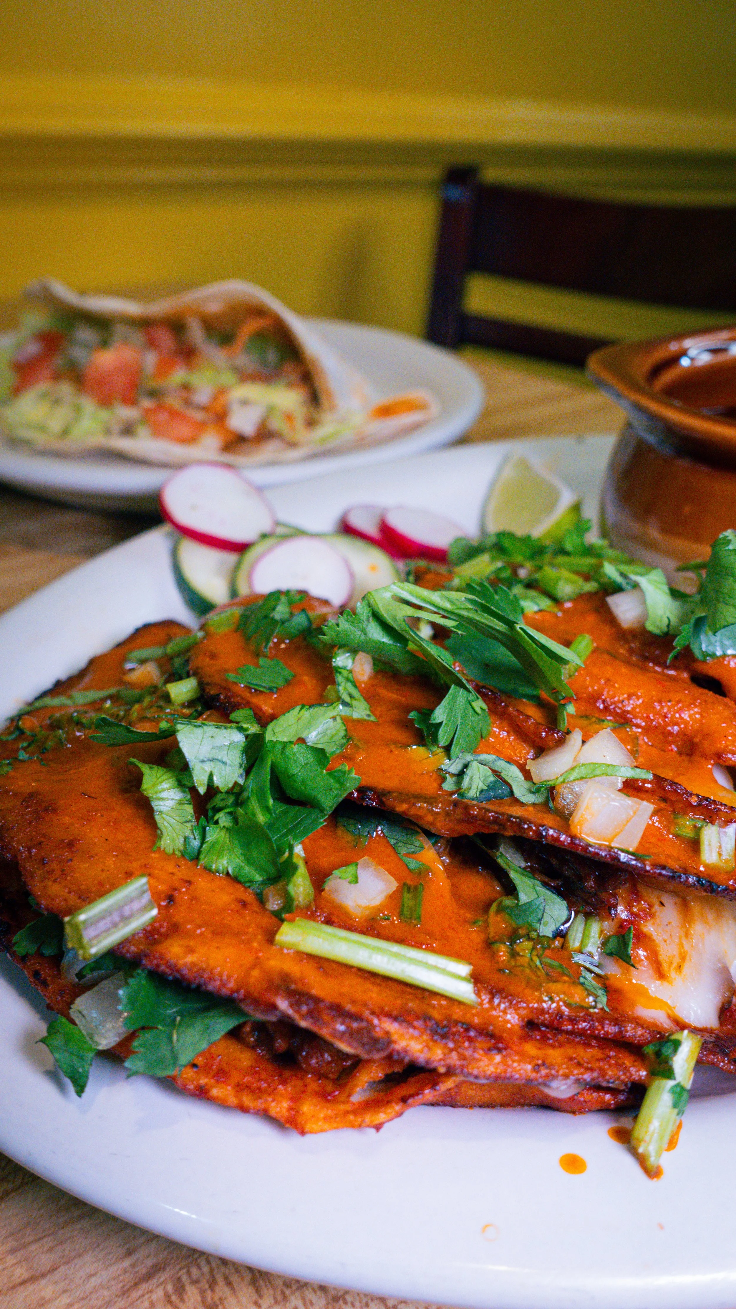 tacos, quesabirria, quesabirria tacos, authentic Mexican food | harrisonburg, virginia