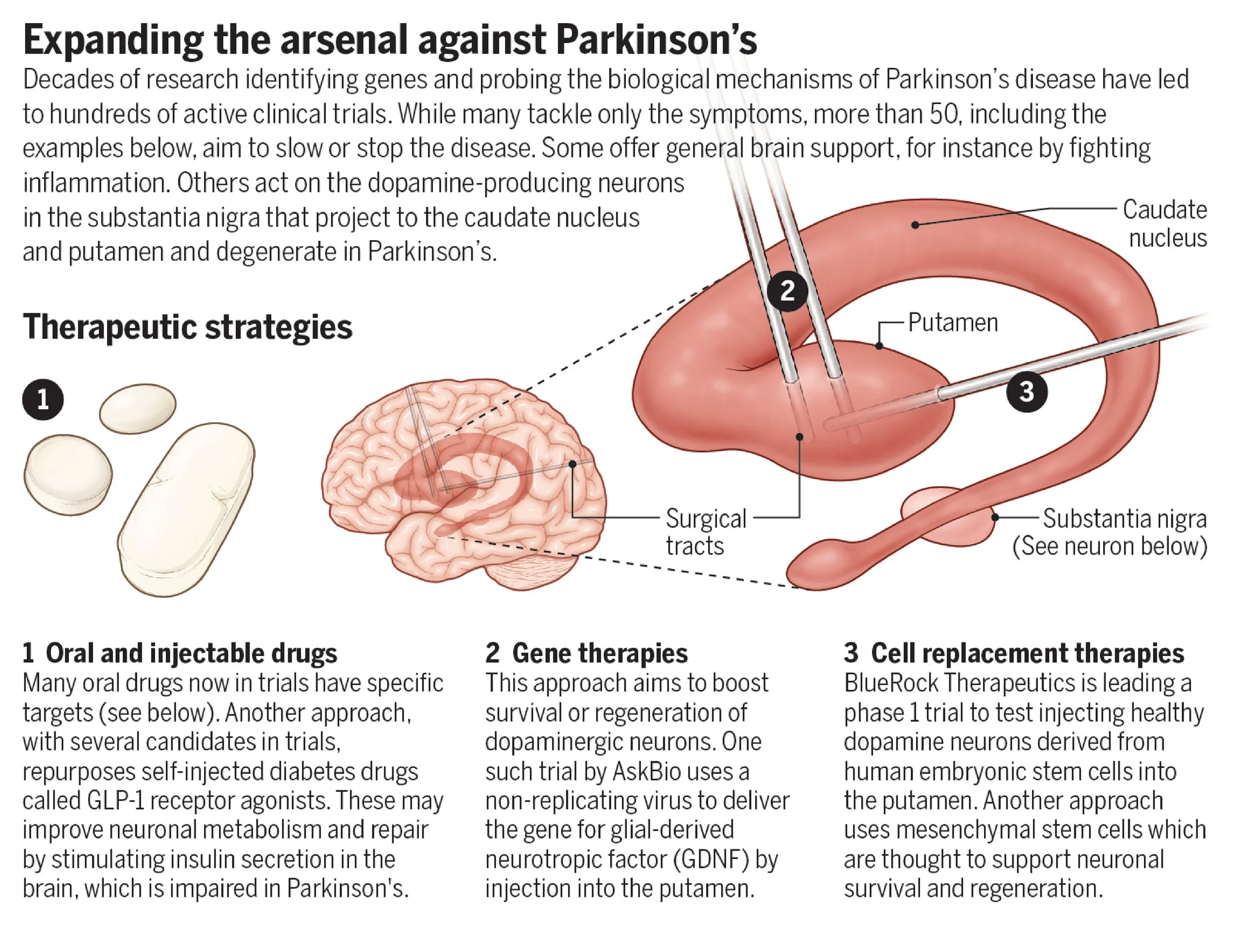 Sci-Ill-jpegs-07.jpg