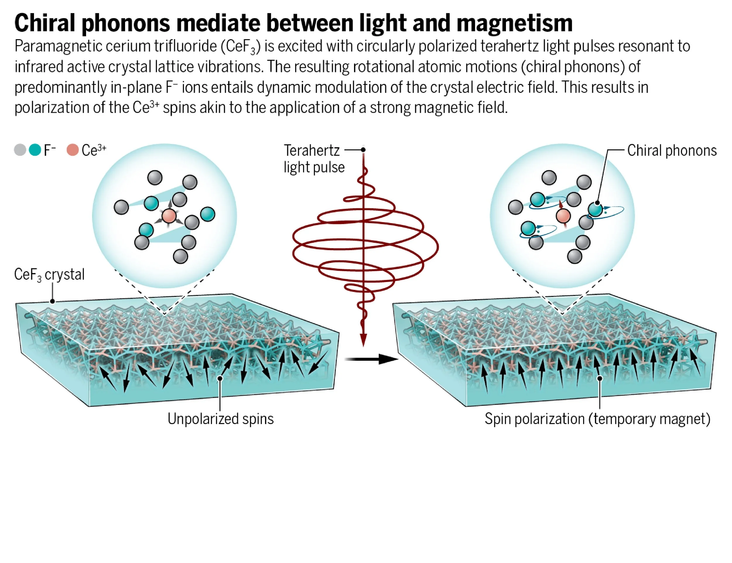 Sci-Ill-jpegs-02.jpg