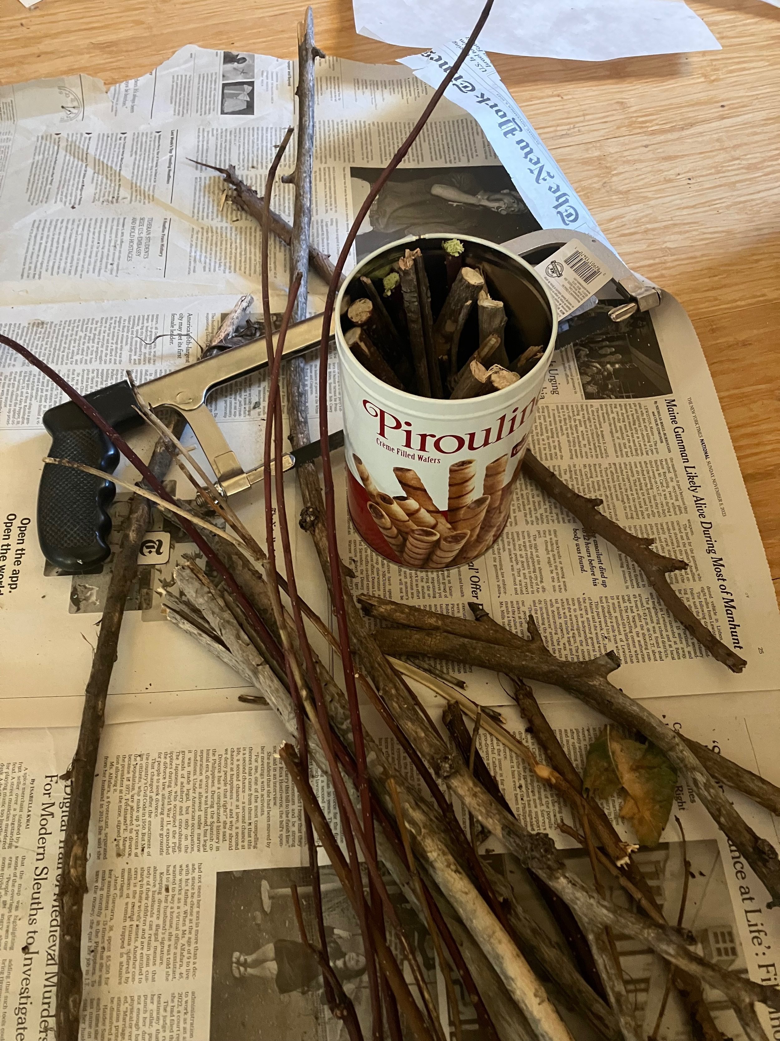  Making my own: Tamarisk branches ready to be charred in a fire pit 