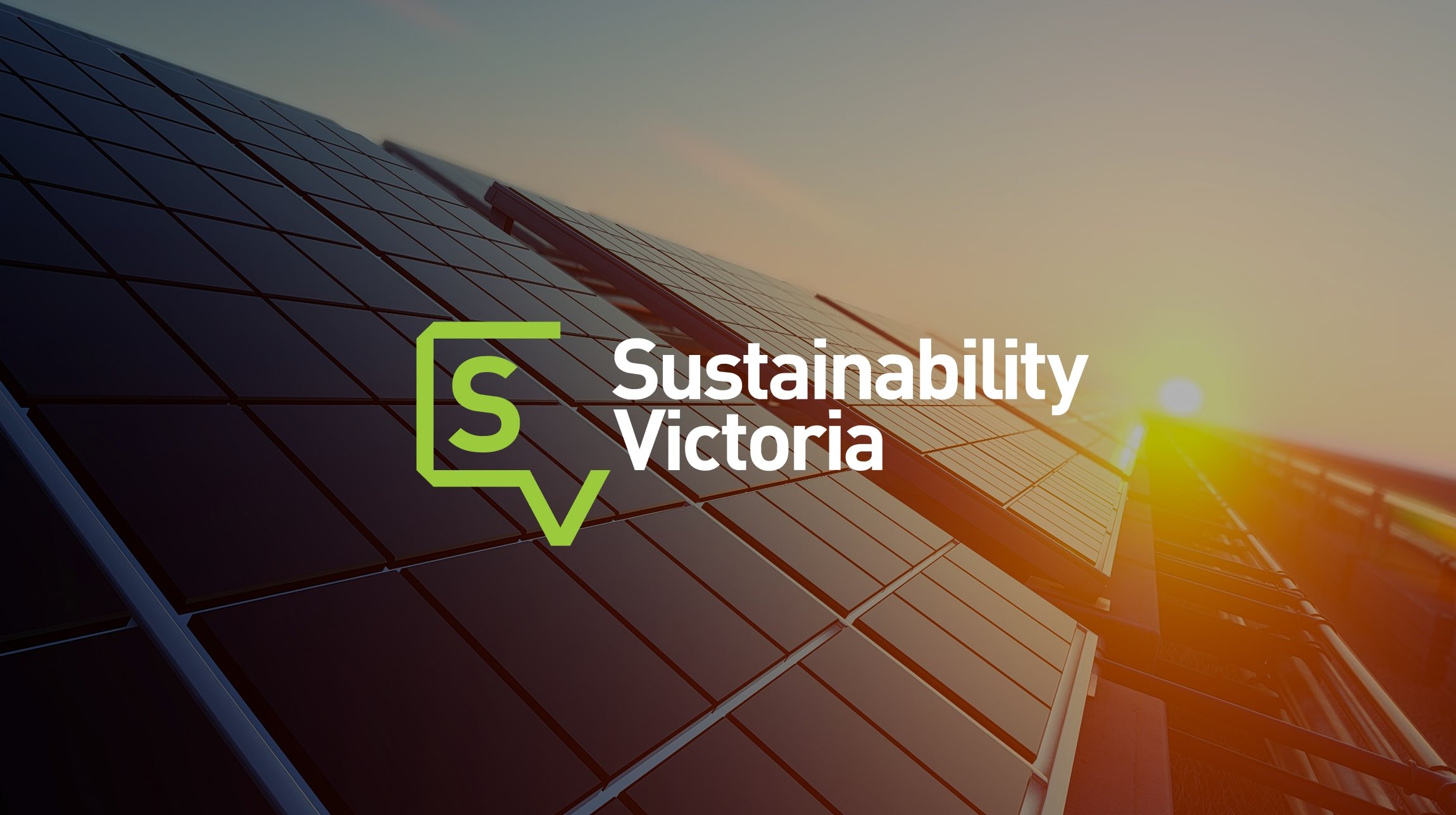 What happens next when we dismantle the systems that made progress possible?