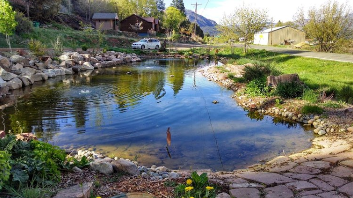 A small pond or stream in a rural area with rocks lining its banks, surrounded by grassy areas and trees, with a house and a car visible in the background.