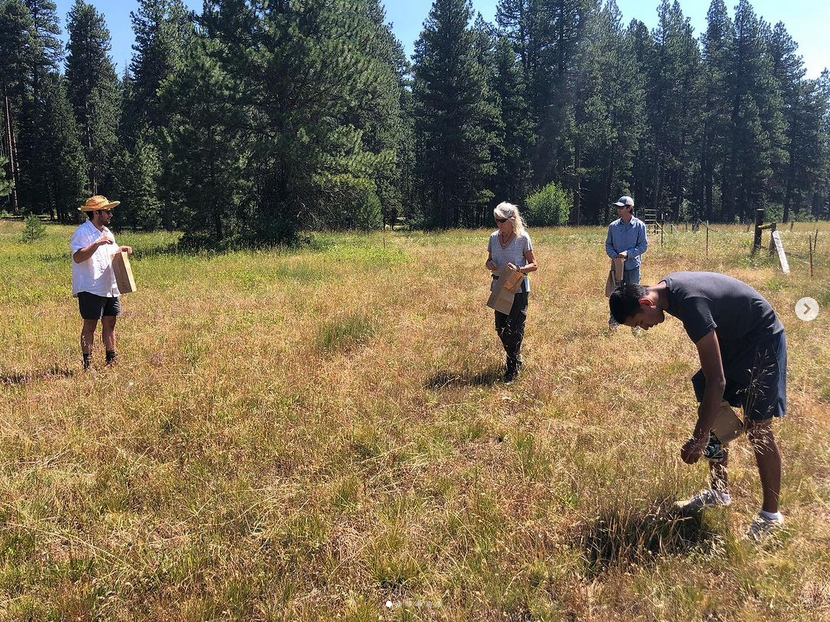 Four people in a grassy field with trees in the background, two are holding notebooks and one is bent down examining the grass.