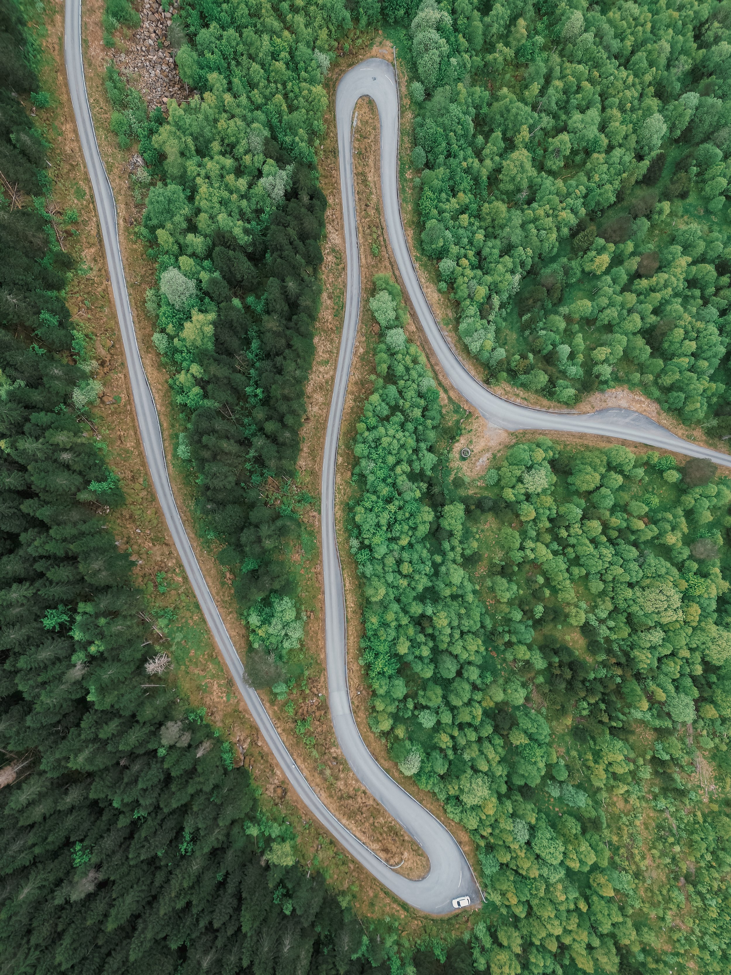 DJI_0521.jpg