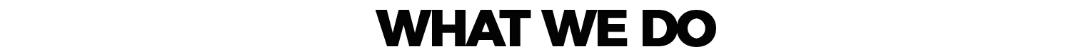 A blurred black background with text that says 'WHAT WE DO' in bold letters.