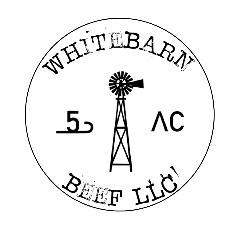 WhiteBarn Wagyu