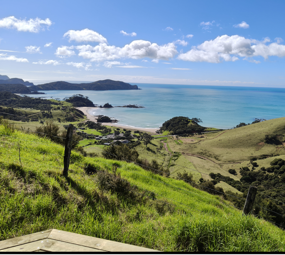 Exploring Further: The Te Akau Walking Track Expands