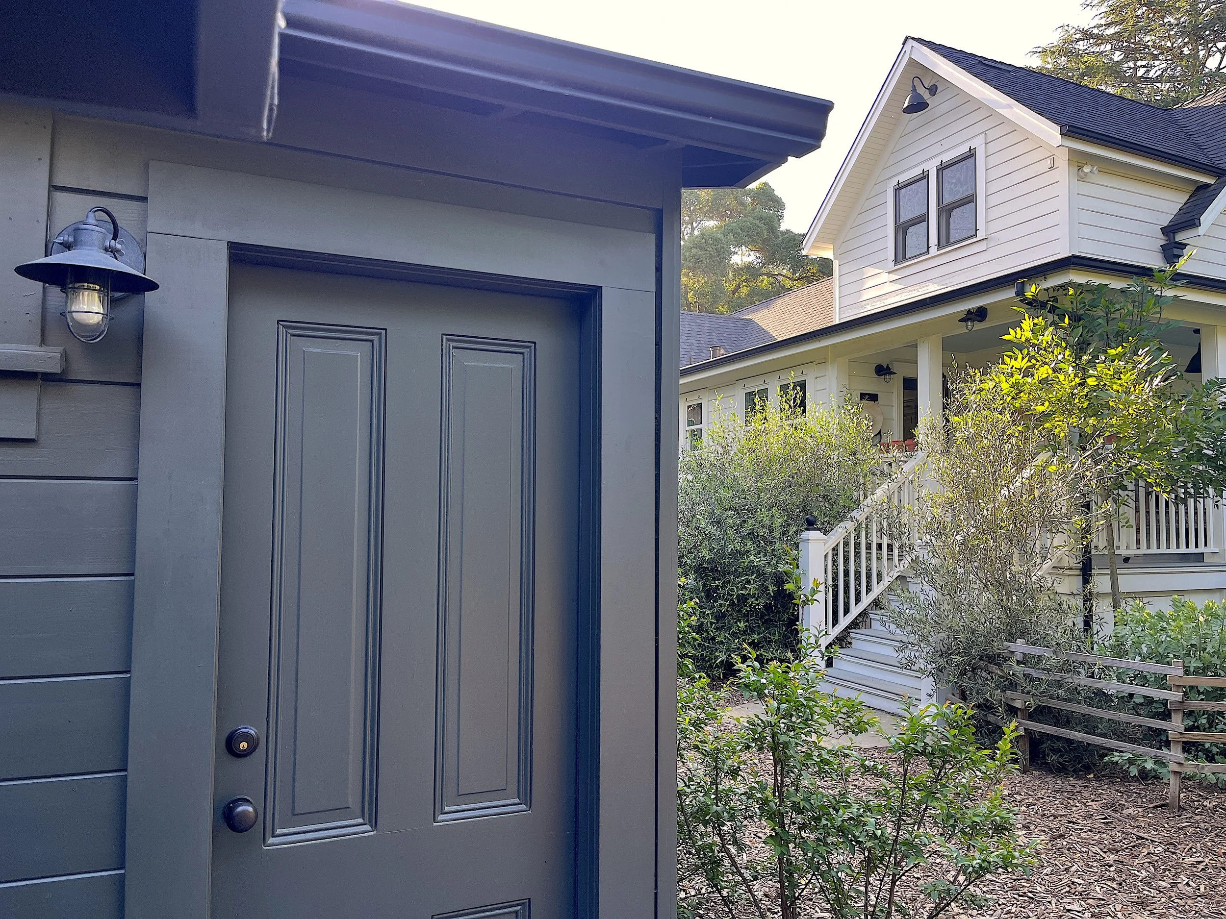 Palm Cabin — Kelly Minor, Ph.D.