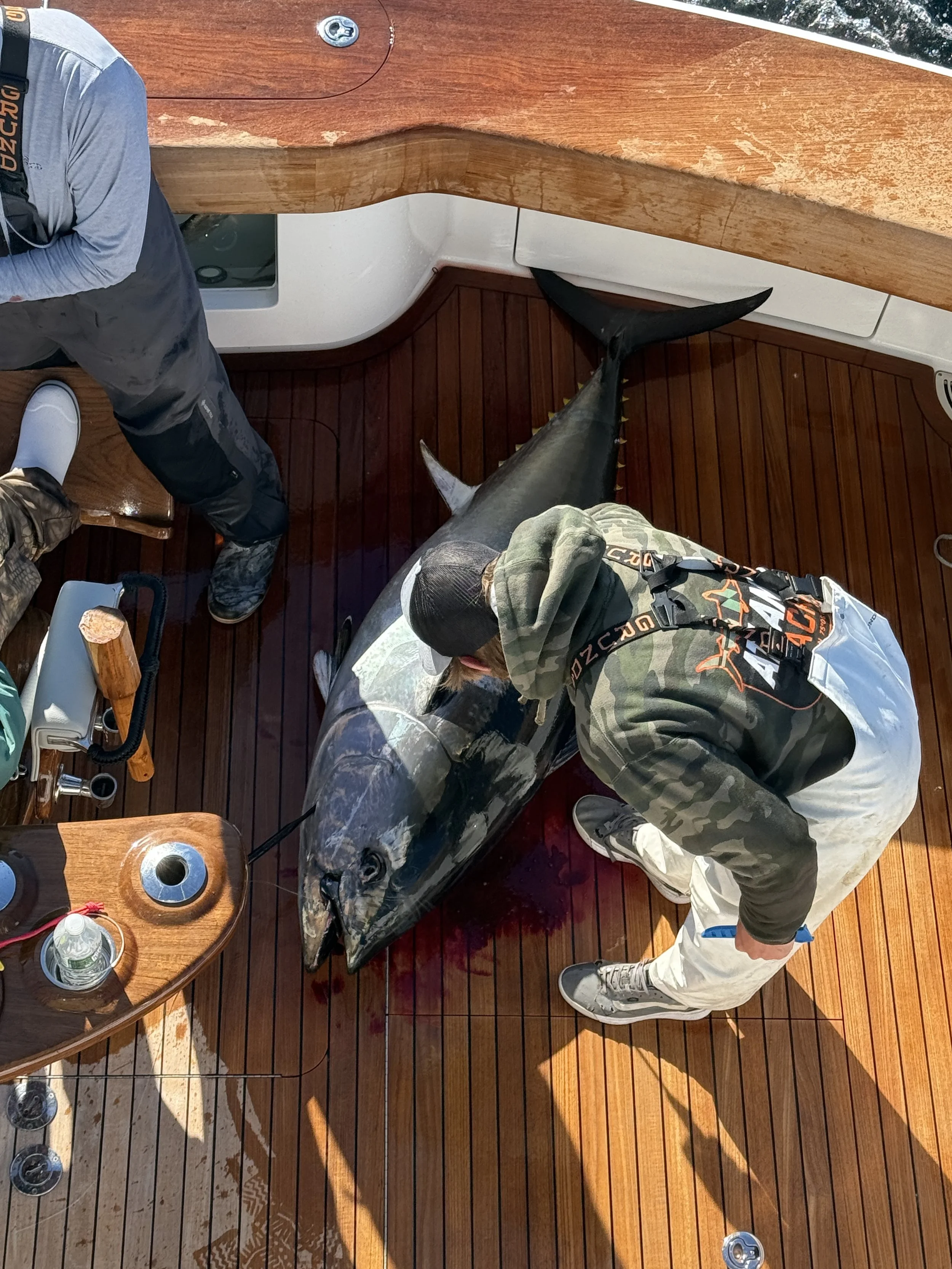 Best Months for Bluefin Tuna Fishing in New England (2026 Guide)
