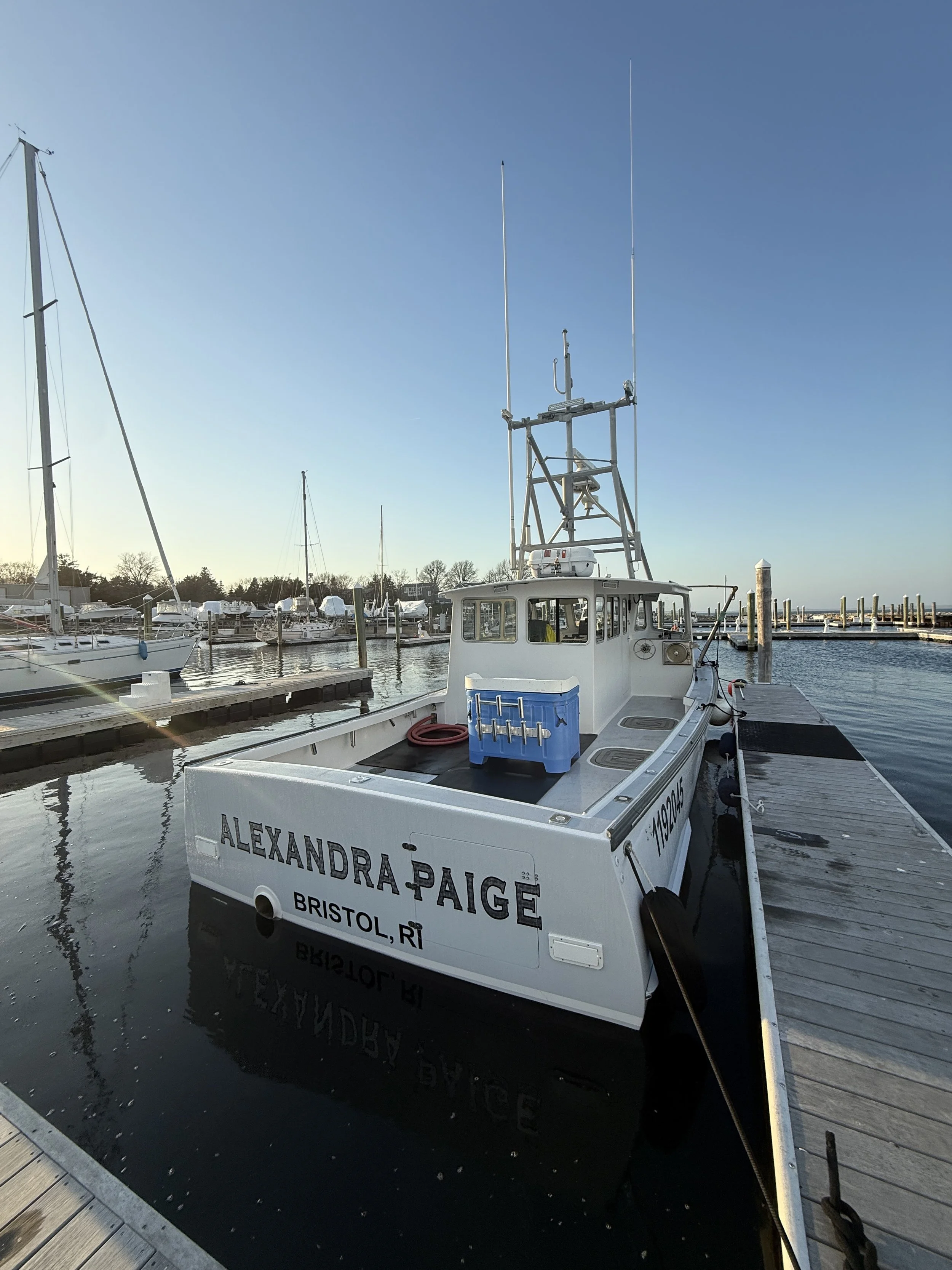 Party Boat vs. Private Fishing Charter: Which Is Better?