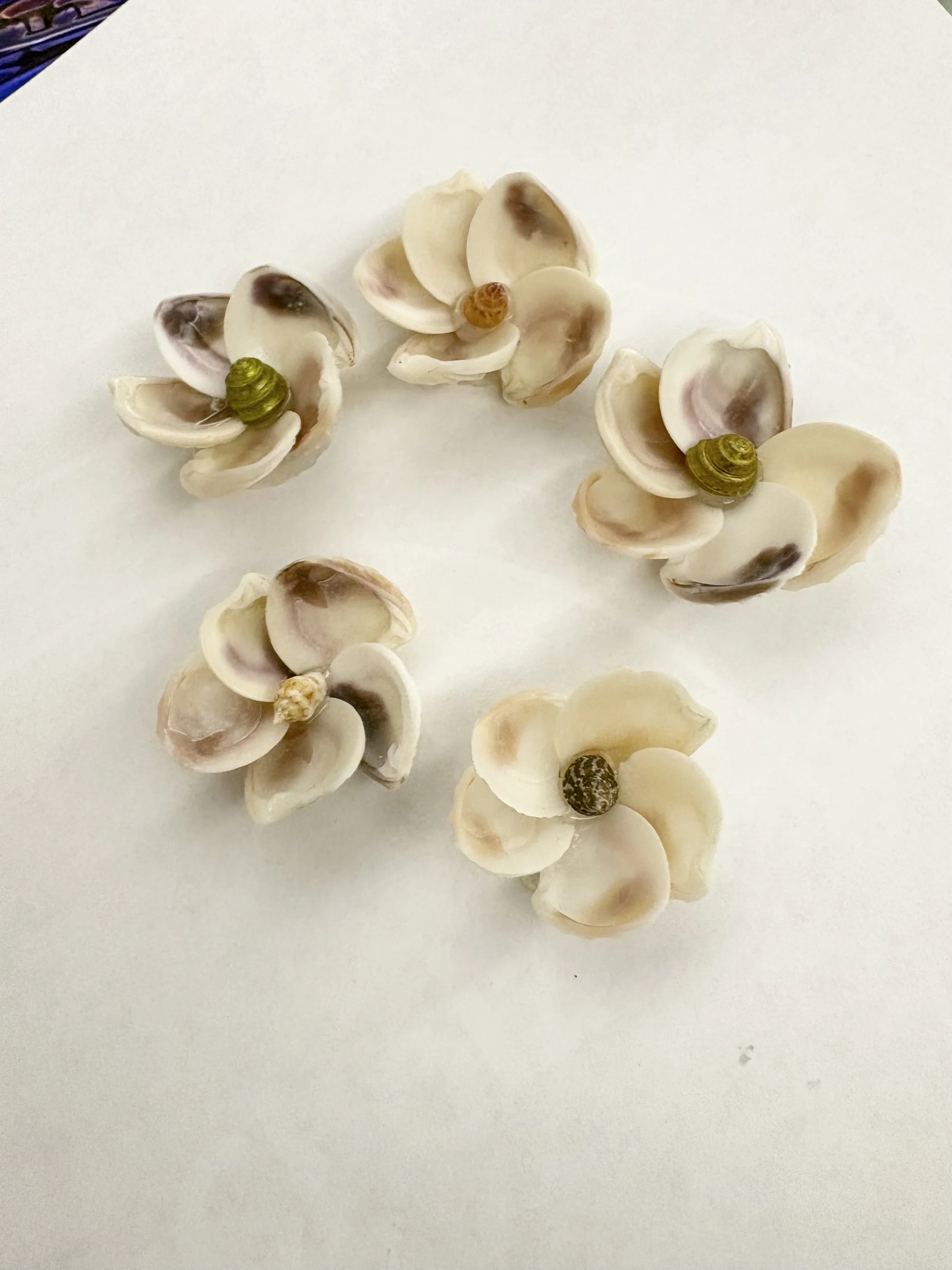 Wedding Cake Shell Flowers – Group 3