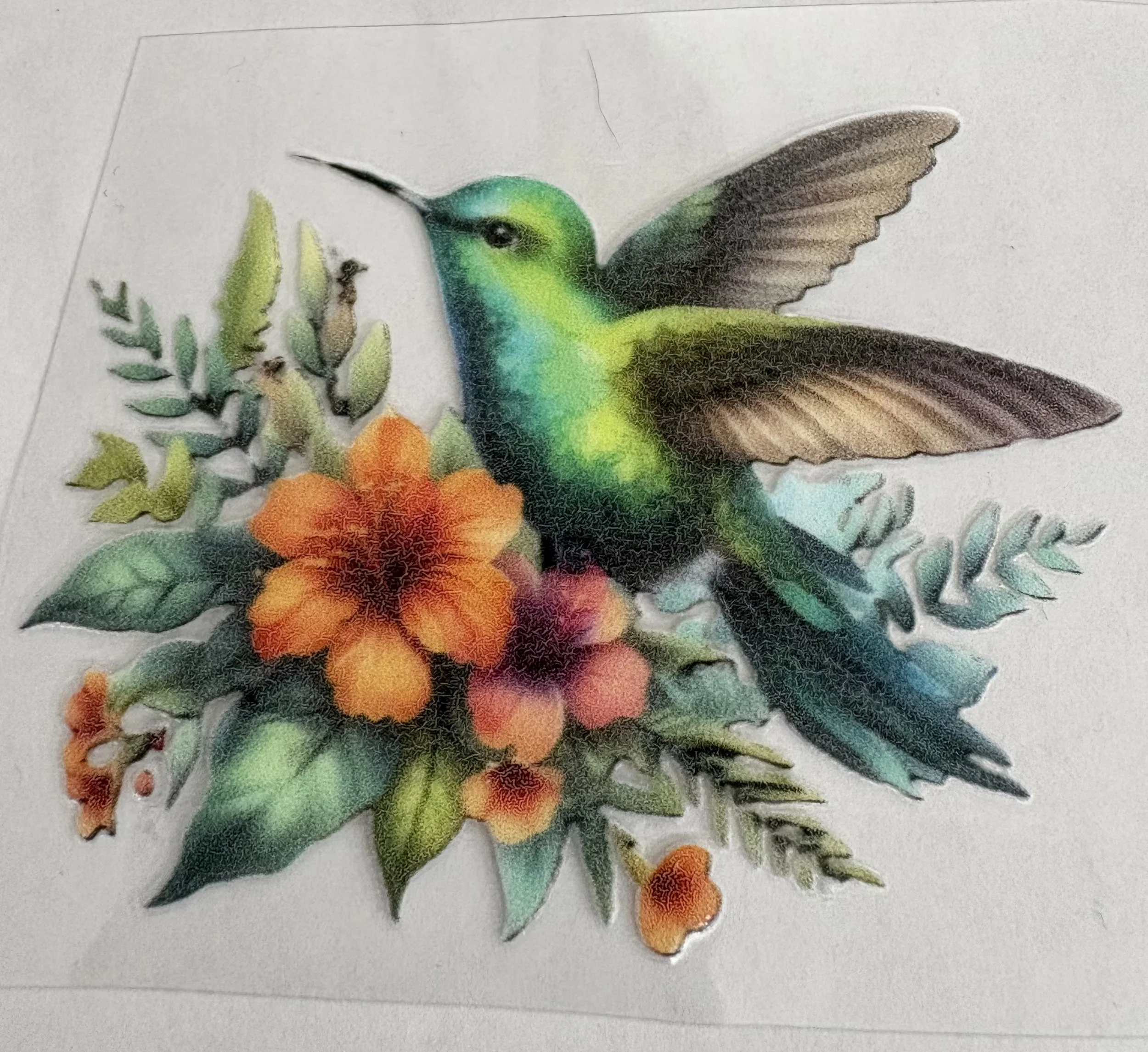 IMG_3562.jpeg
