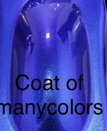 IMG_3507.jpeg