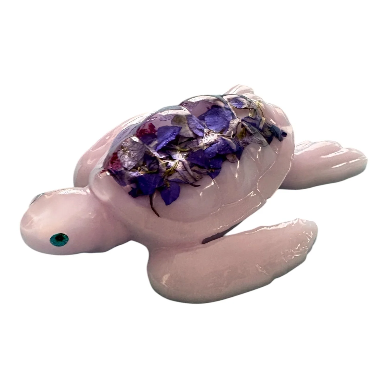 Blush Bloom Baby Turtle – 5” x 4.5