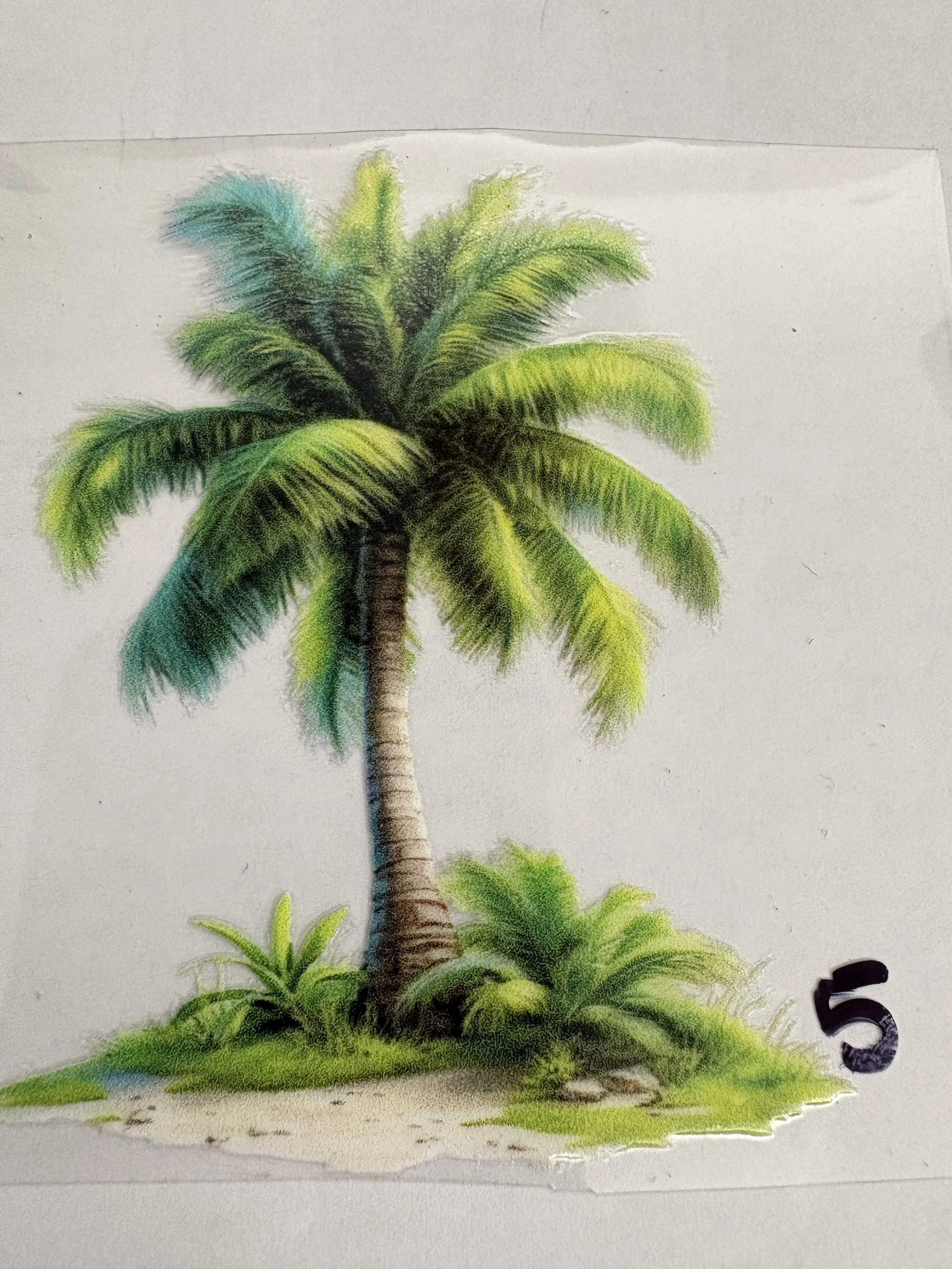 #5 Tropical Palm Tree UV DTF Sticker – 3.5”
