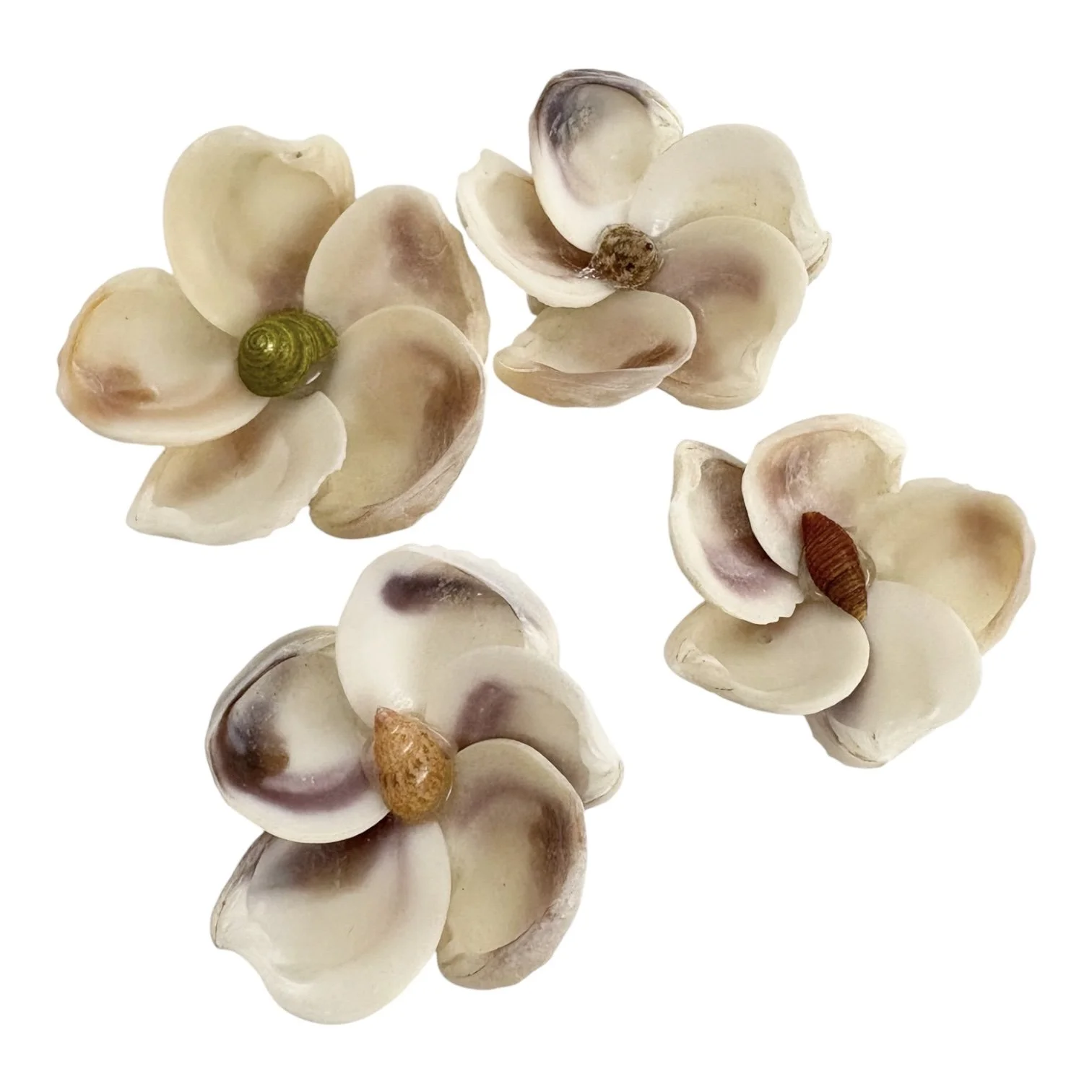Wedding Cake Shell Flowers – Group 2  Size: Approximately 1”–1.5”