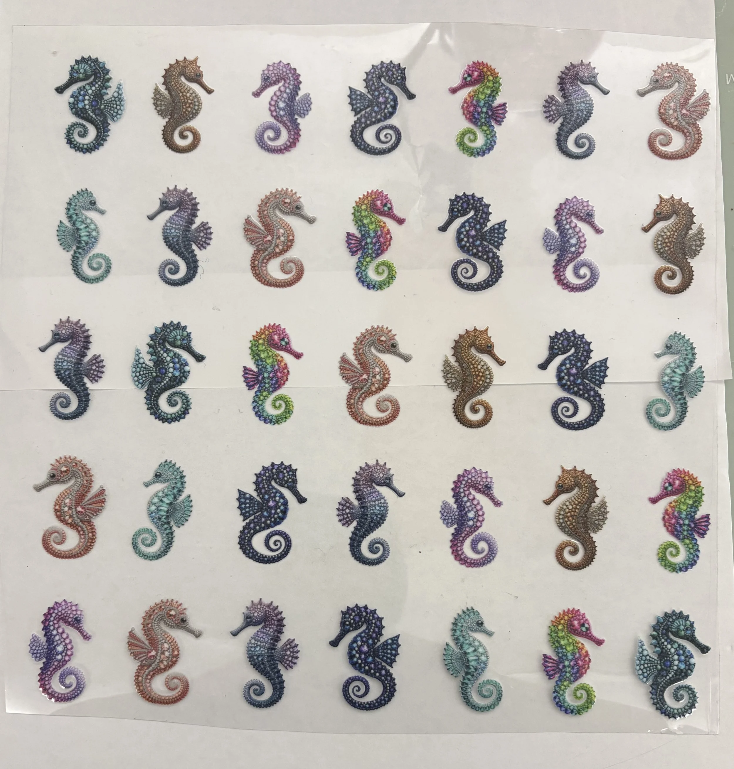 IMG_3611.jpeg