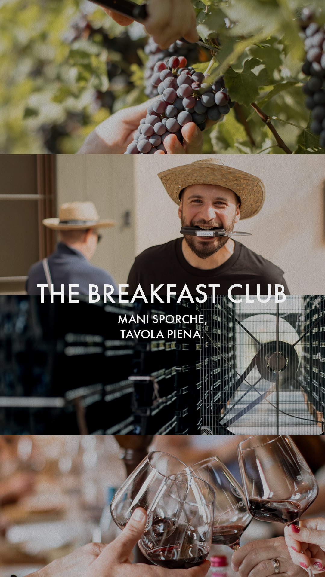 THE MORNING CLUB BUGLIONI HARVEST EXPERIENCE VENDEMMIA