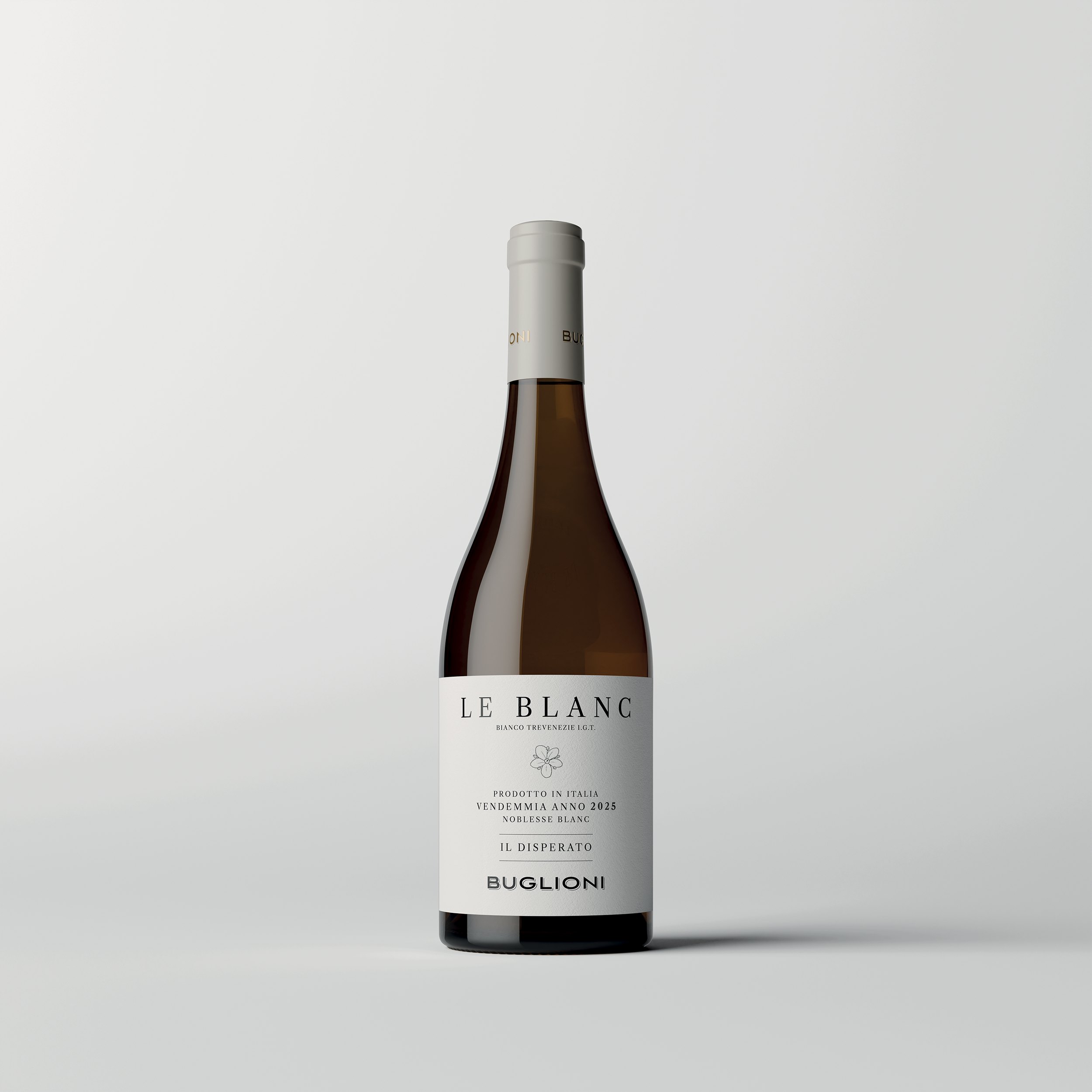 Il Disperato 2025 TEMP v01 - RGB - WEB .png