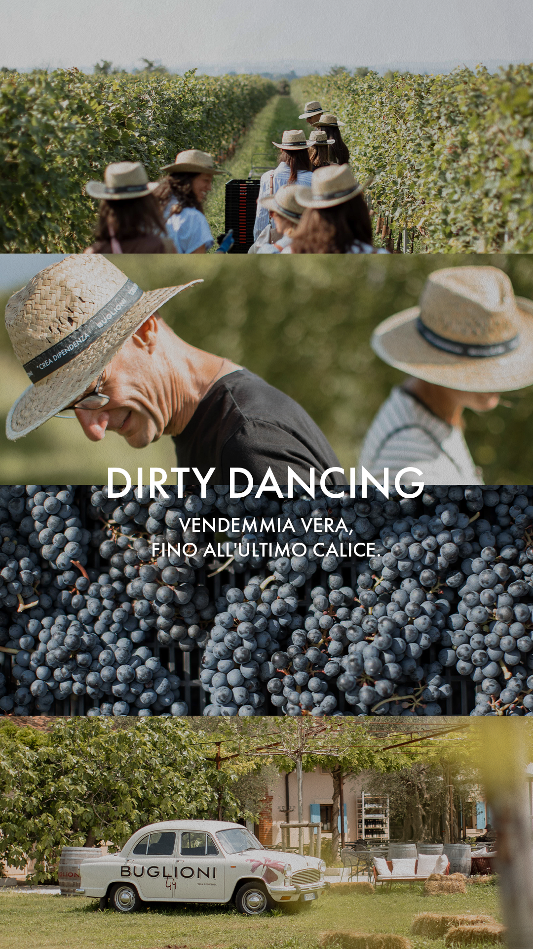 DIRTY DANCING BUGLIONI HARVEST EXPERIENCE VENDEMMIA