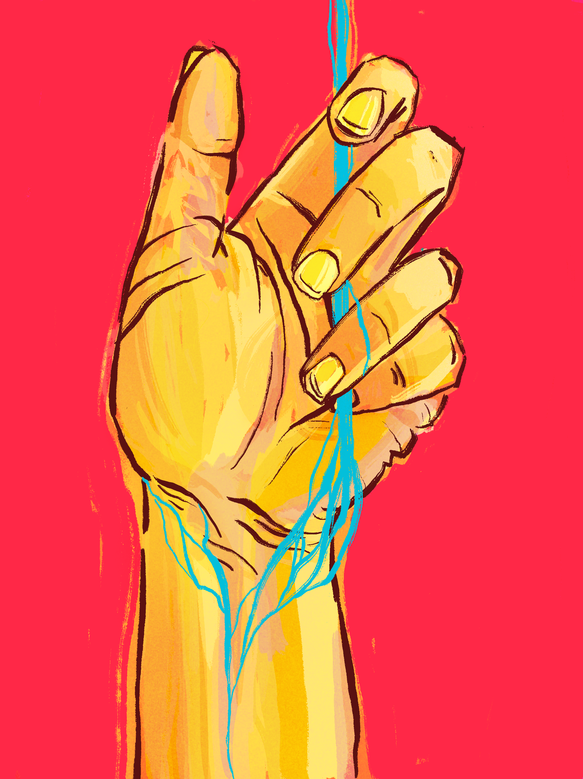 Portfolio 5.png