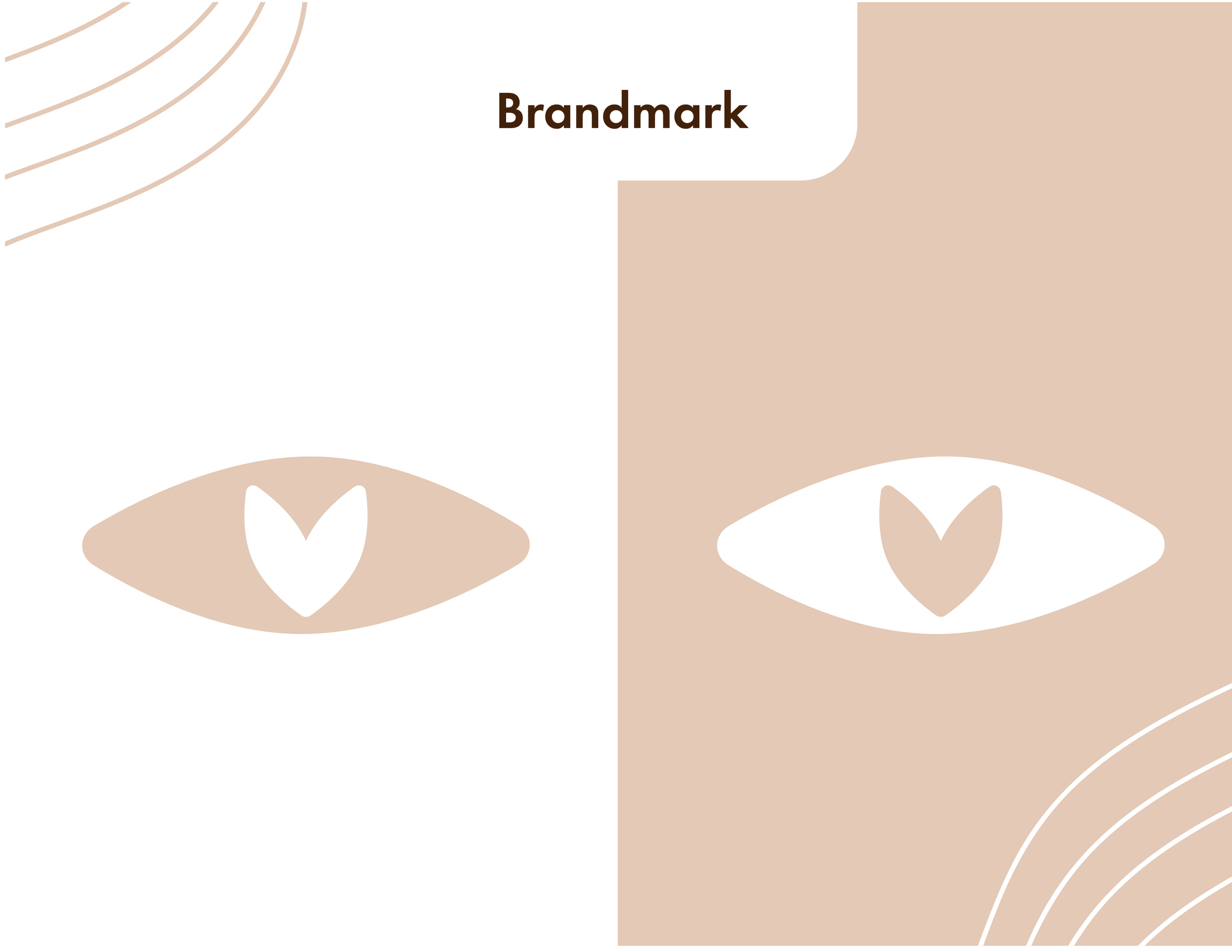 iris_brand_guide-04.png
