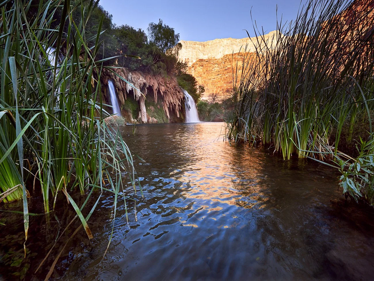 In the Reeds of Fifty Foot Falls