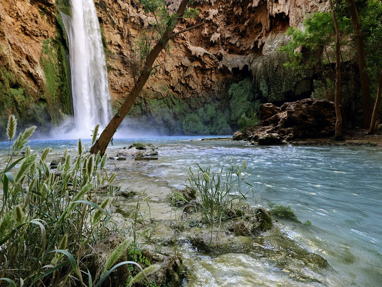 Mooney Falls Morning 
