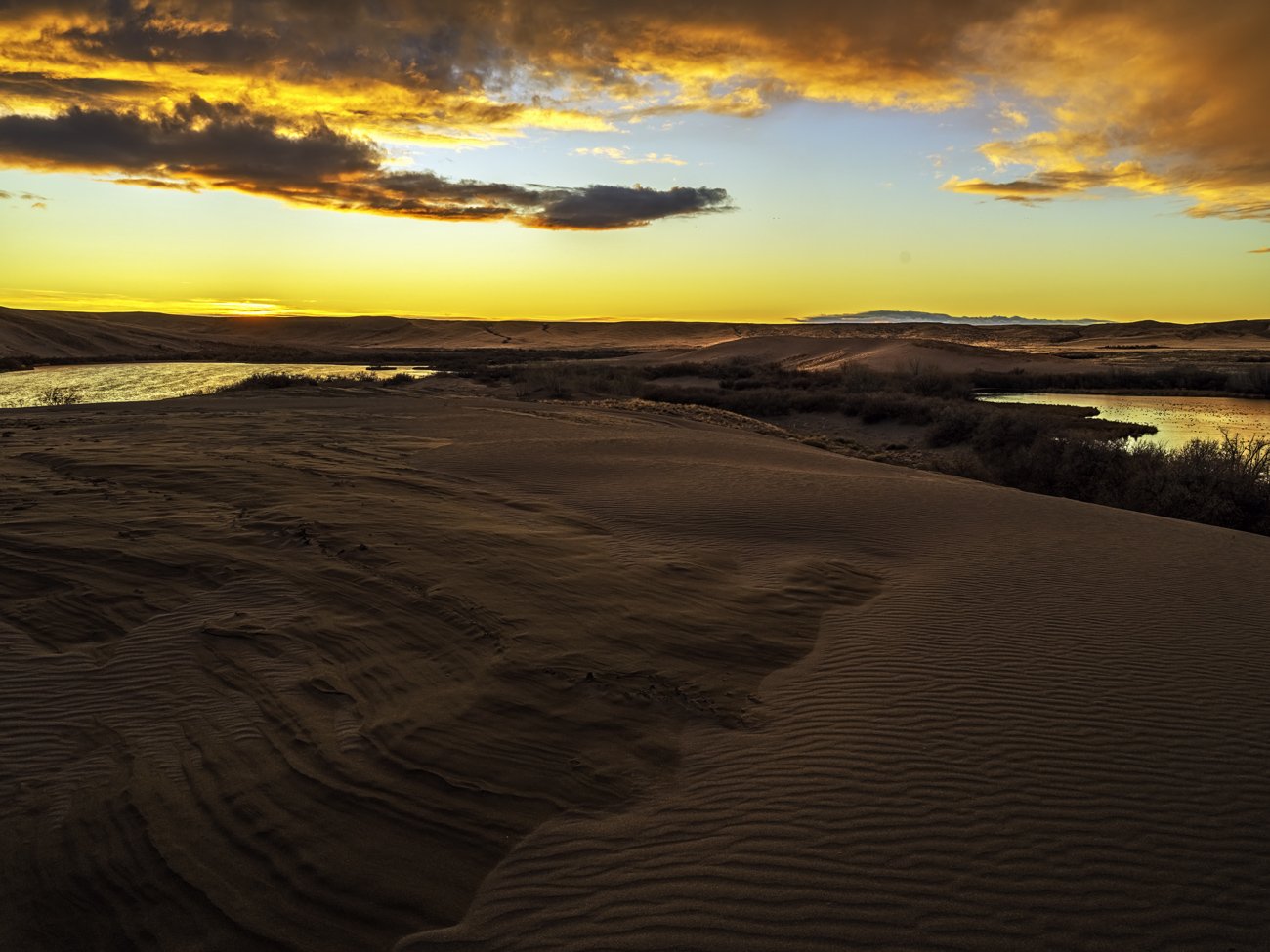 Bruneau Sand Dunes