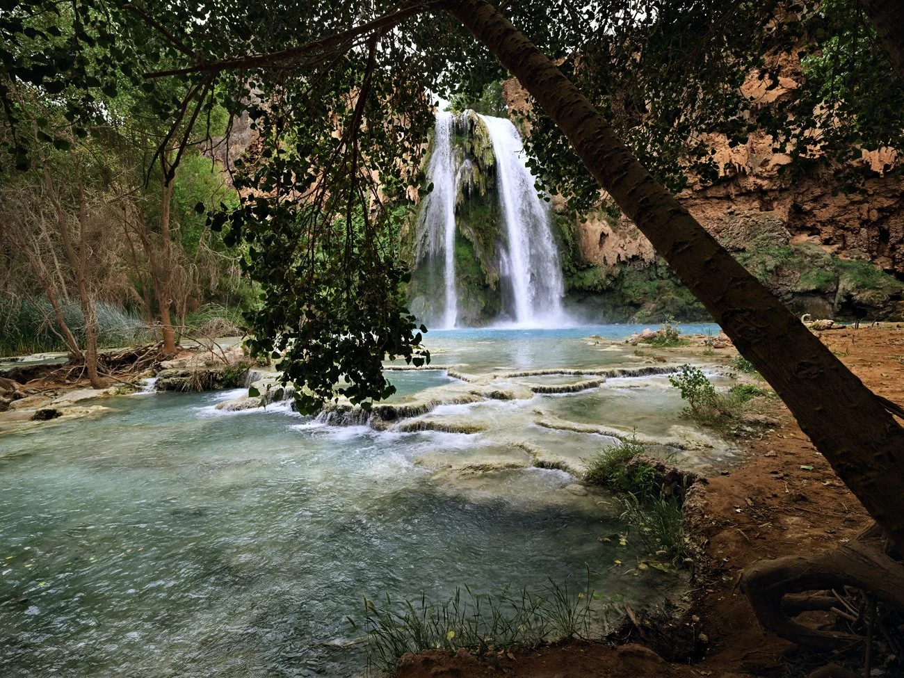 Discovering Havasu Falls 
