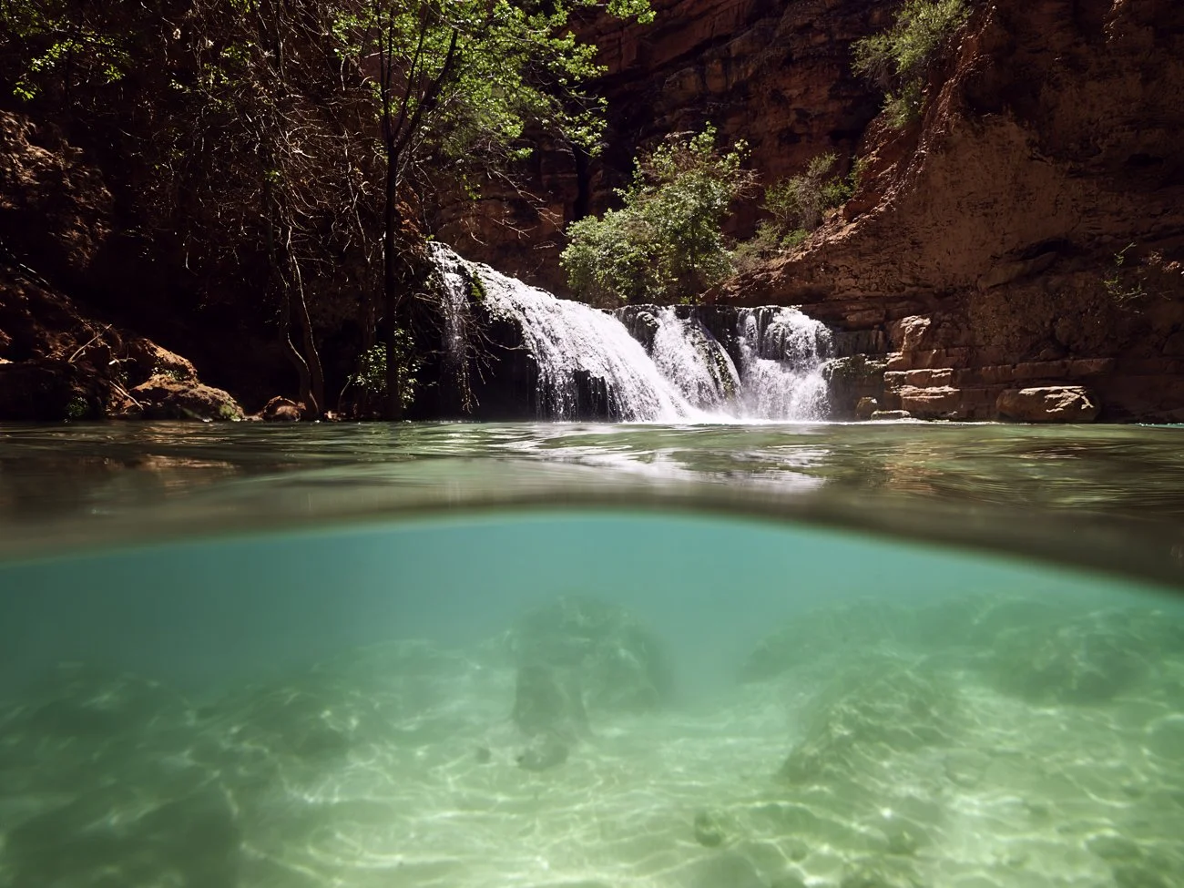 Underwater World of Beaver Falls