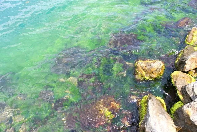 Hydrotherapy : Using Water To Heal