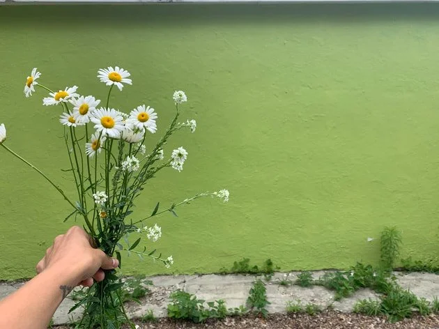 Fertility Awareness Method