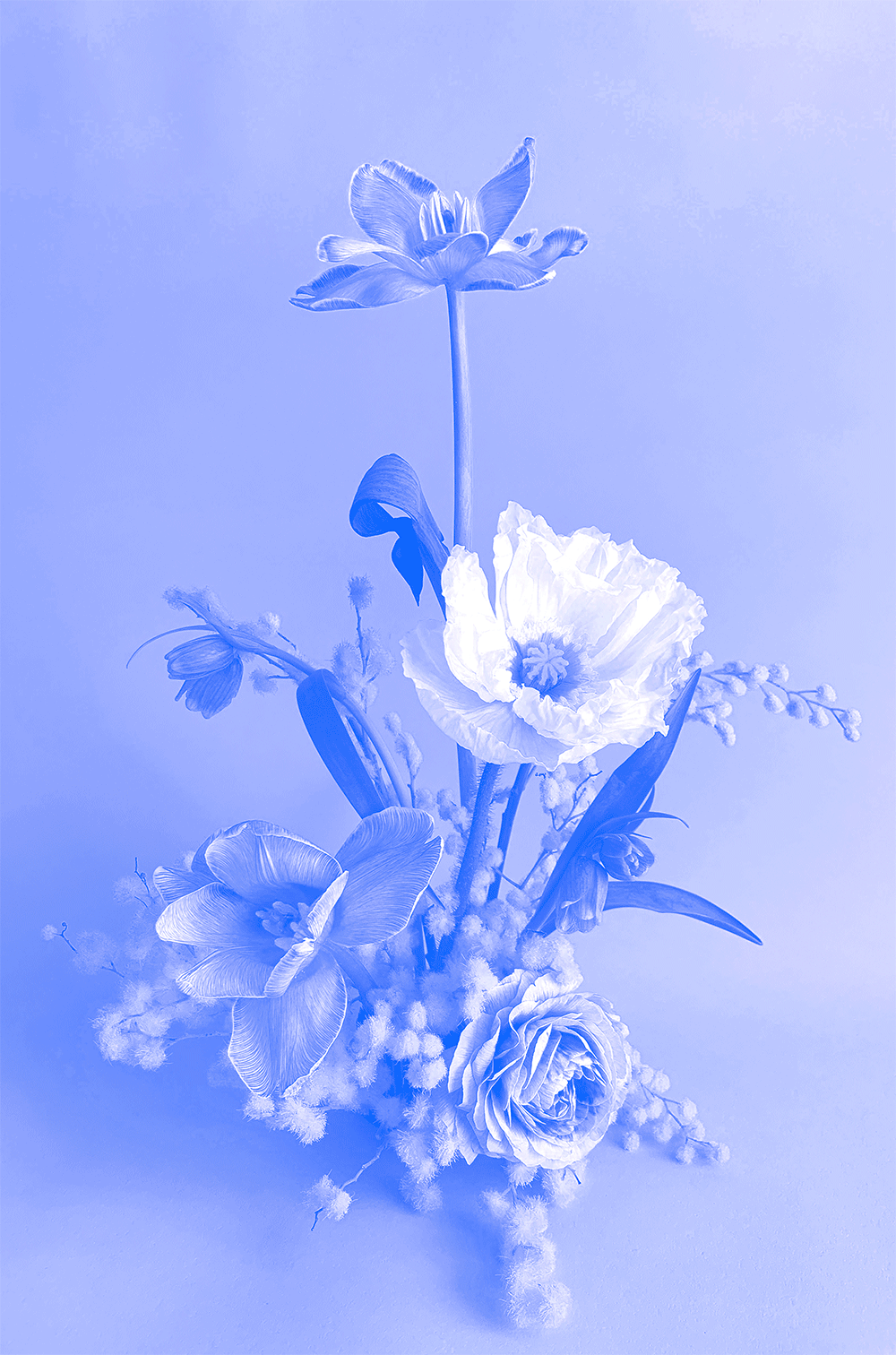 ExtraFloral_RisoPrint_Mockup_GIF.gif