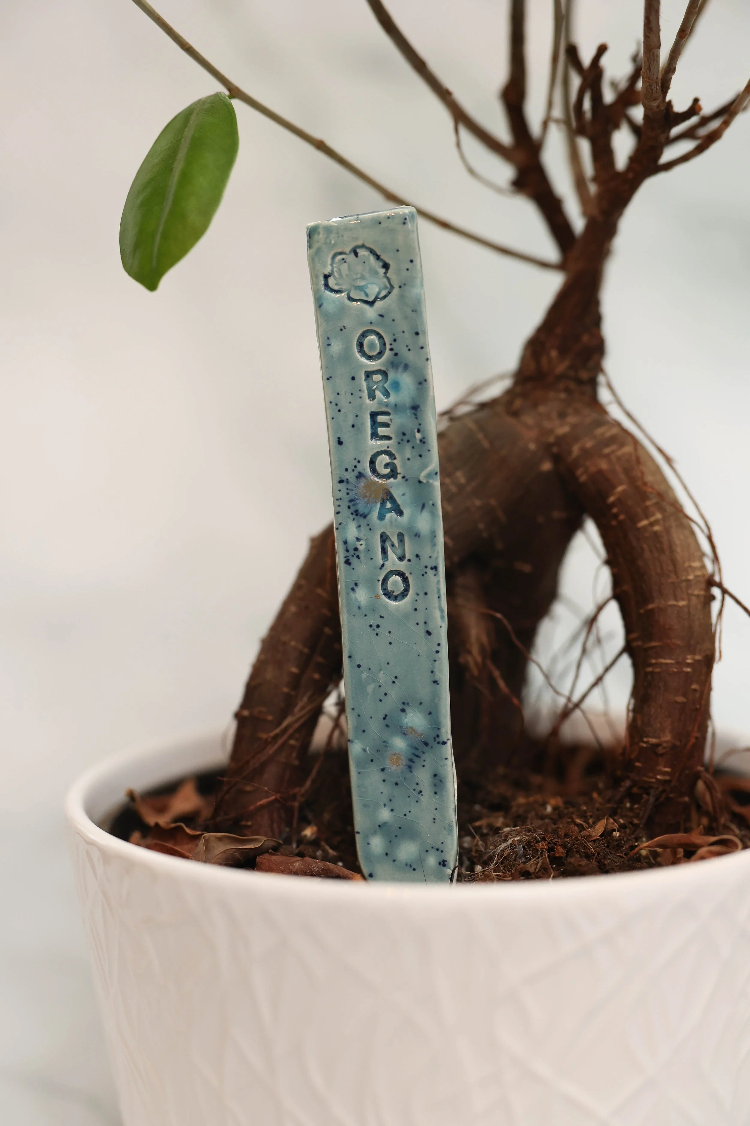 Monsoon Seas Plant Stick's