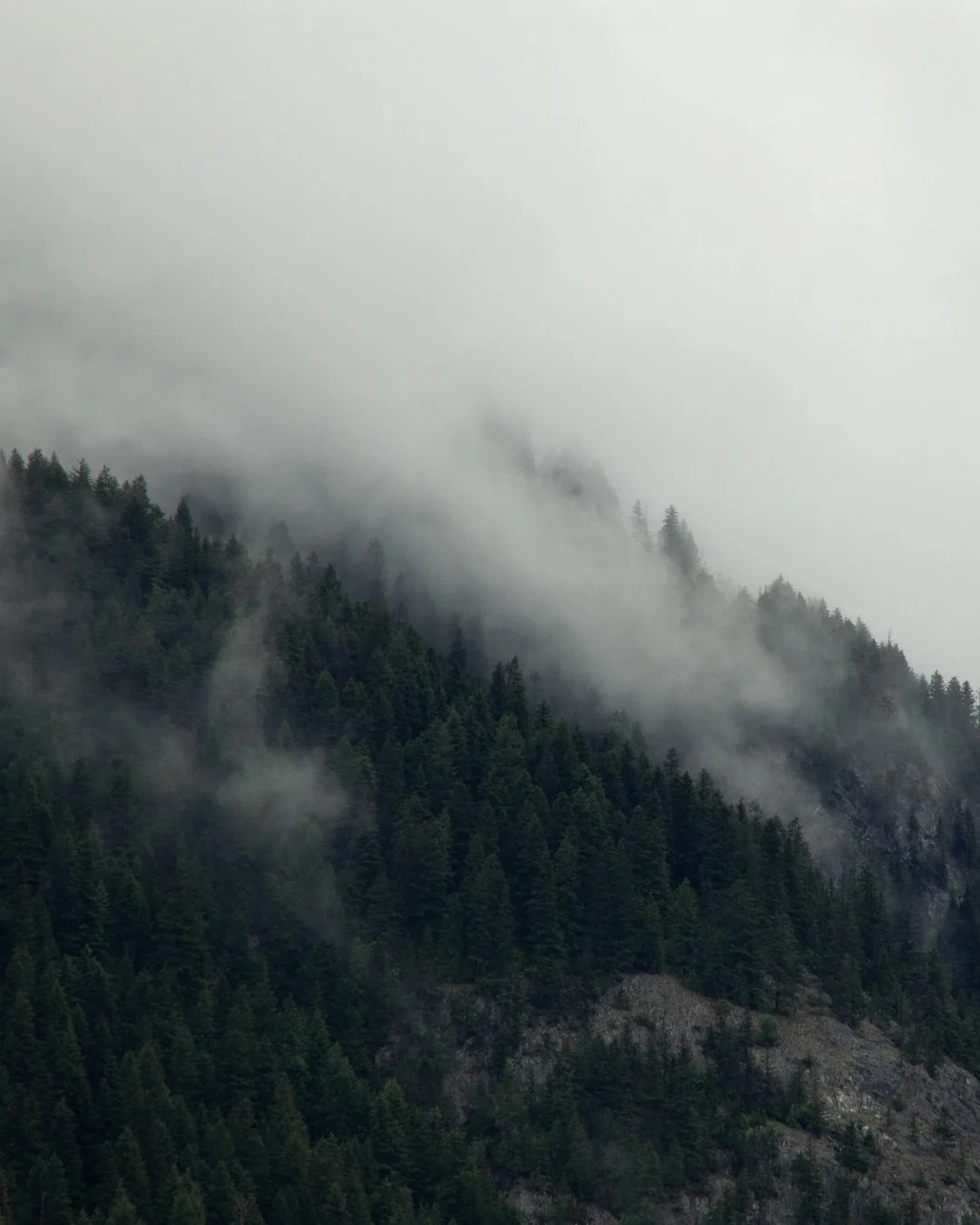 some moody june images for your feed ☁️⛰️📷 

I strayed away from my default gear on this one and used a canon eos m50 to see how much information I could capture in a high-quality raw format, which is something I often struggle with when using my ow