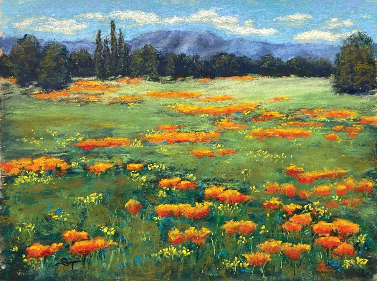 Field of Poppies - Sold