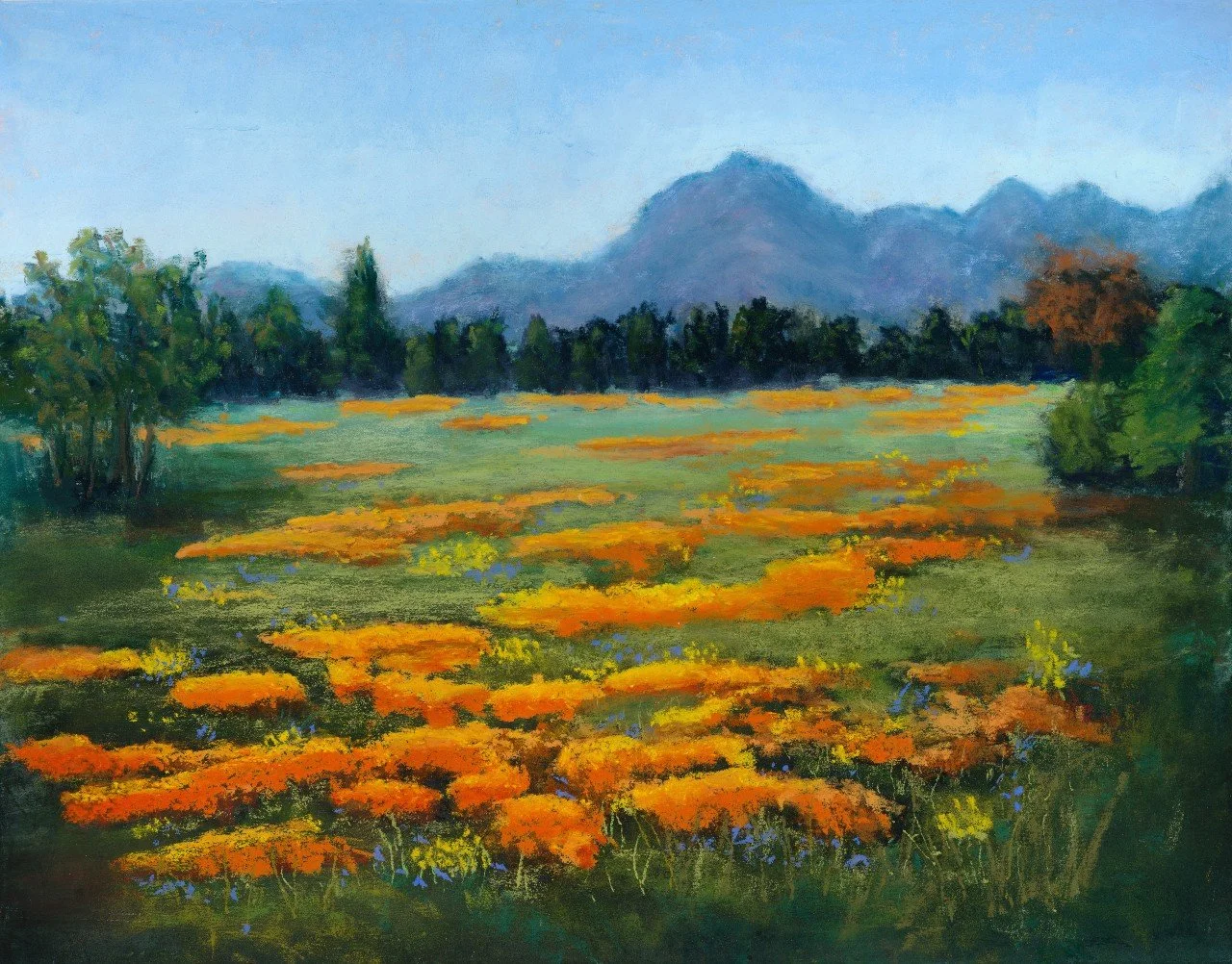 Poppy Meadow - Sold