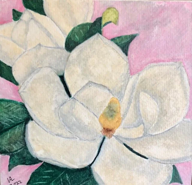 Magnolia.jpg