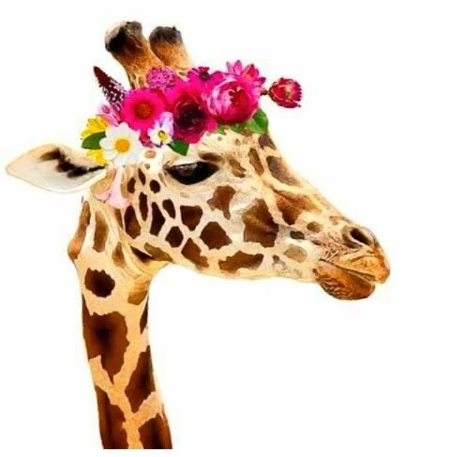 Amy's Giraffe